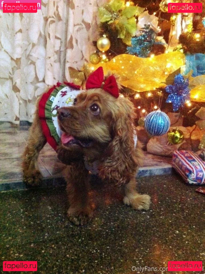 Azucarysal Onlyfans Photo Gallery 