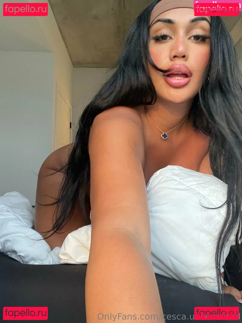 cesca.uncencored Onlyfans Photo Gallery 