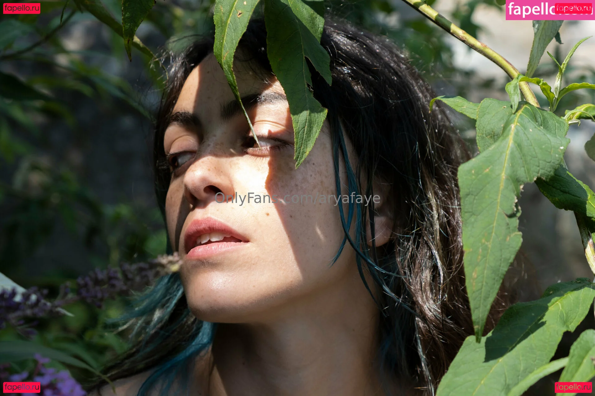 aryafaye Onlyfans Photo Gallery 