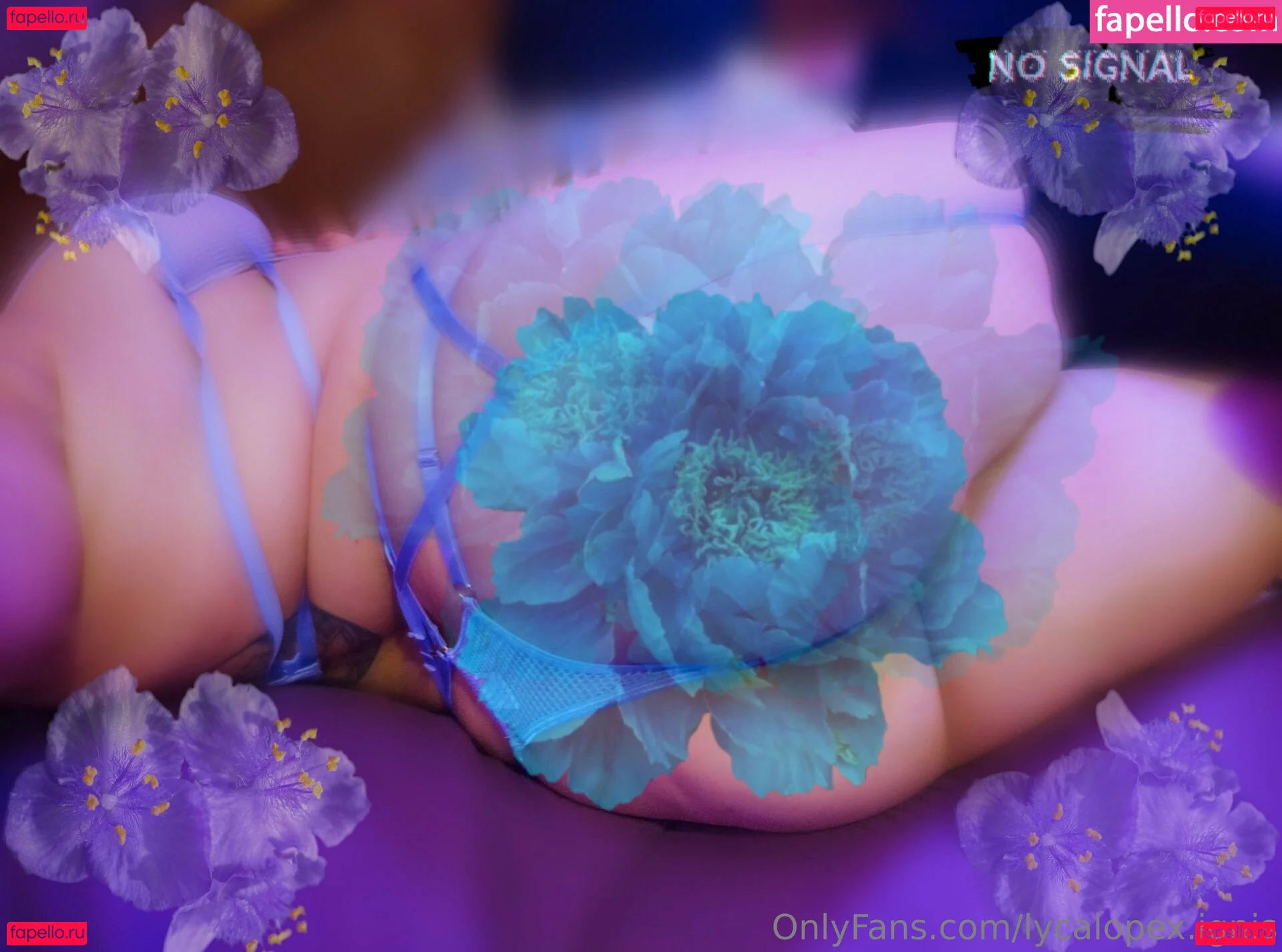 lycalopex.ignis Onlyfans Photo Gallery 