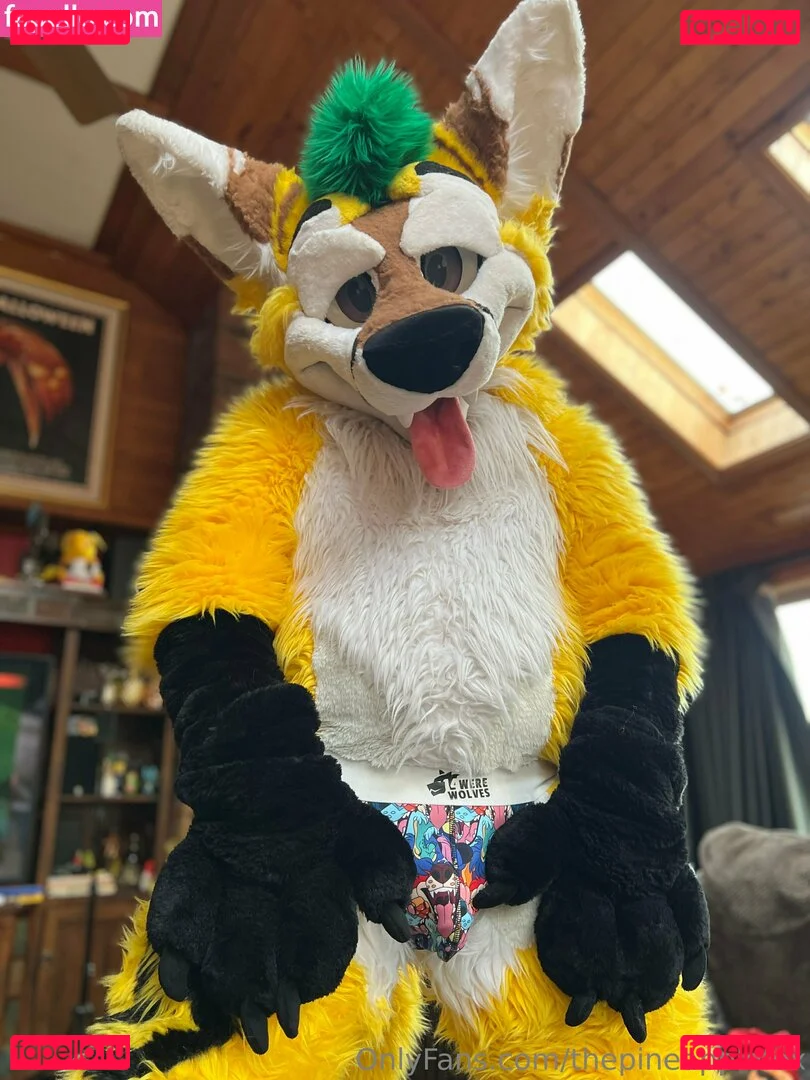 thepineapplefox Onlyfans Photo Gallery 