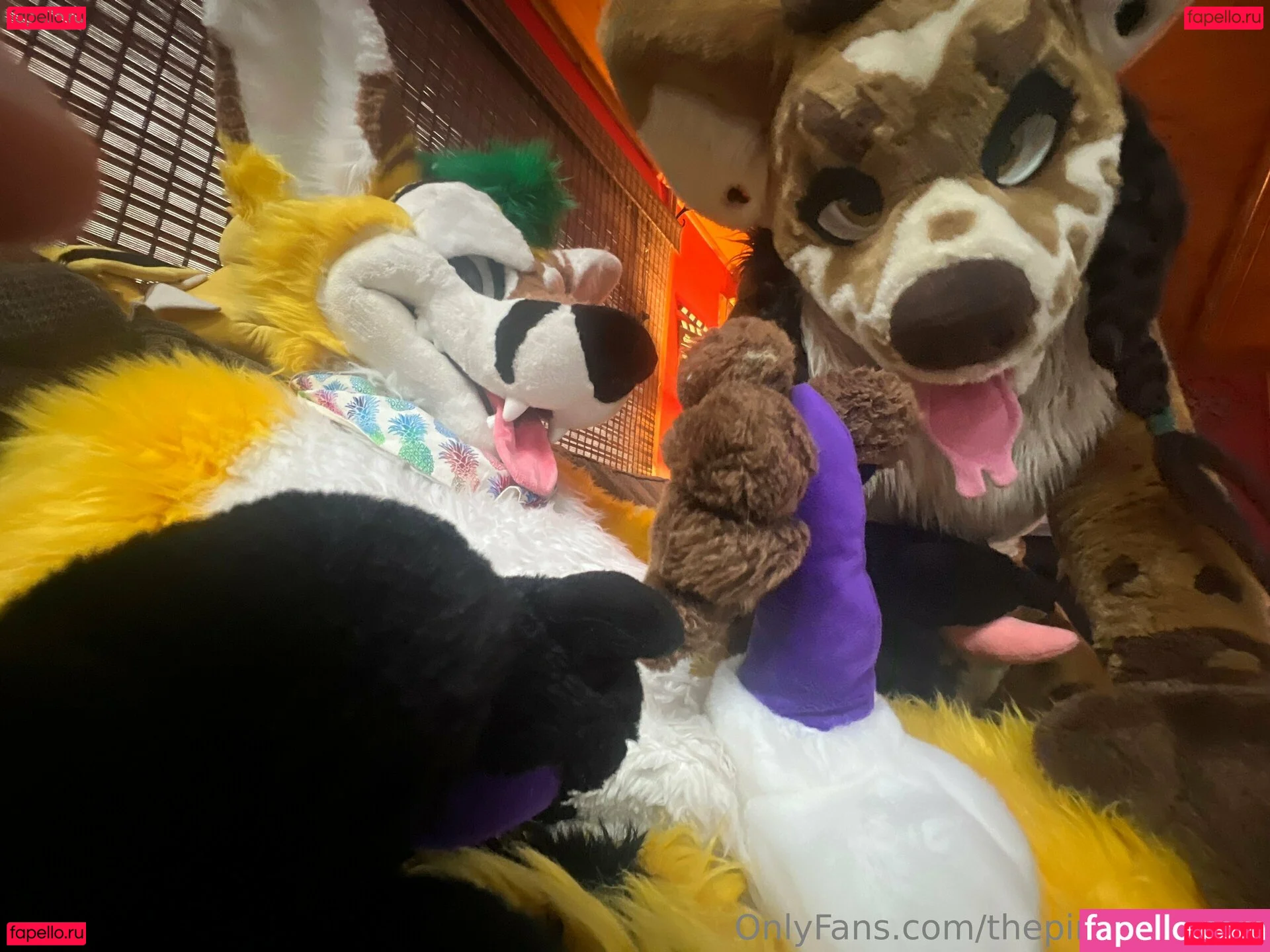 thepineapplefox Onlyfans Photo Gallery 