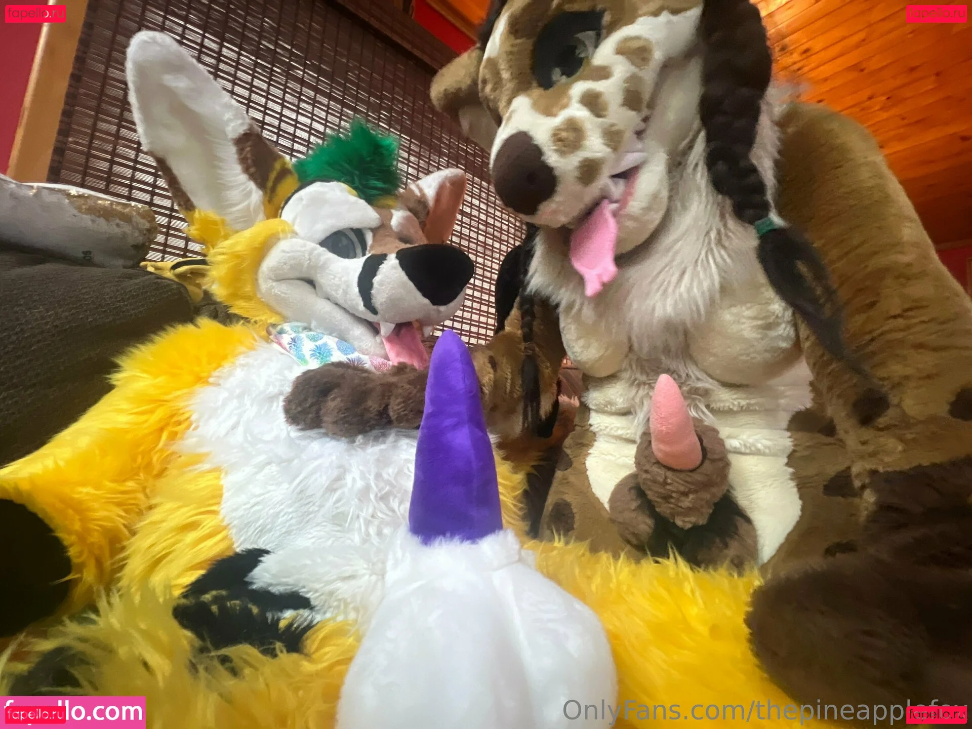 thepineapplefox Onlyfans Photo Gallery 