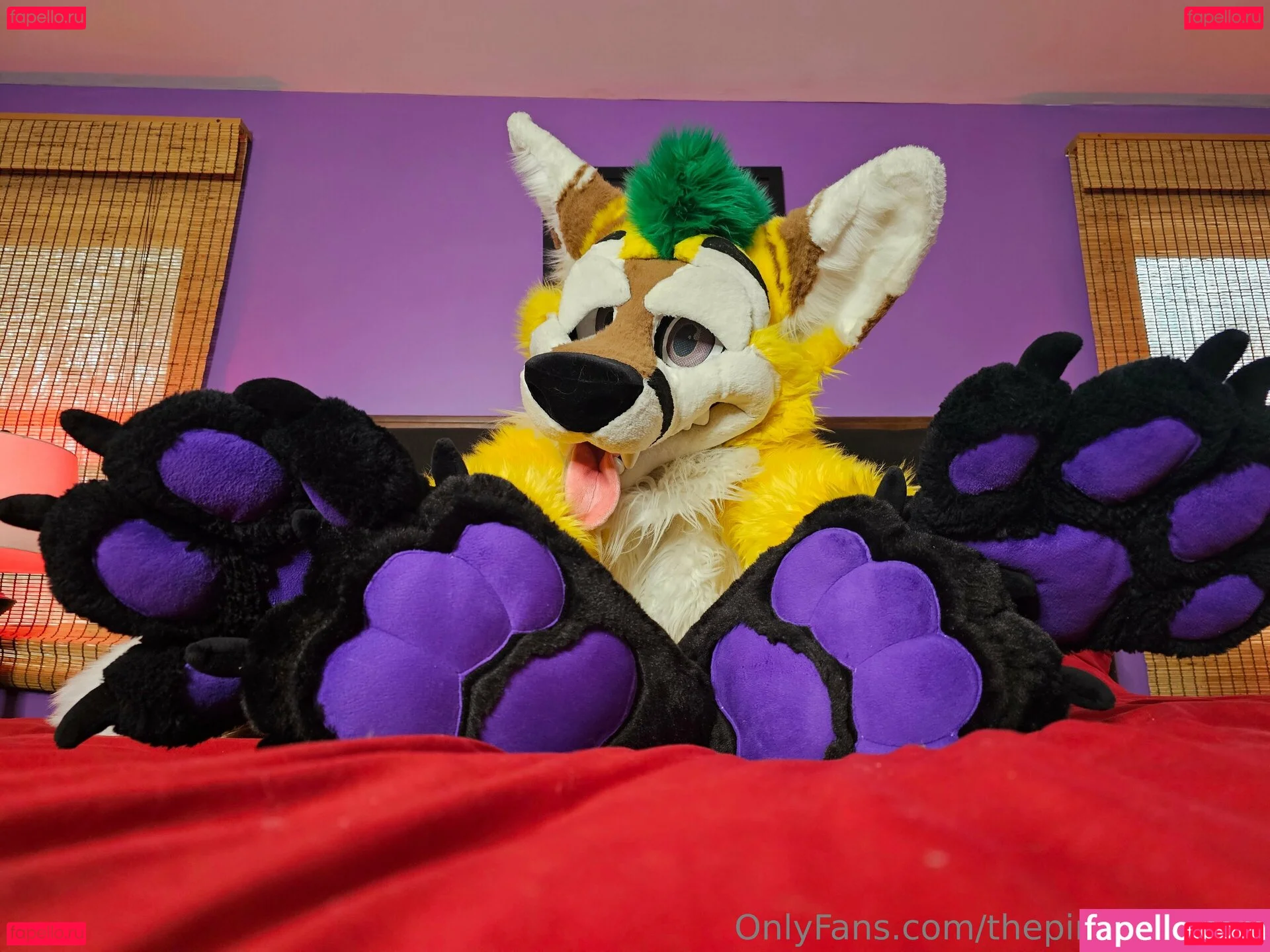 thepineapplefox Onlyfans Photo Gallery 