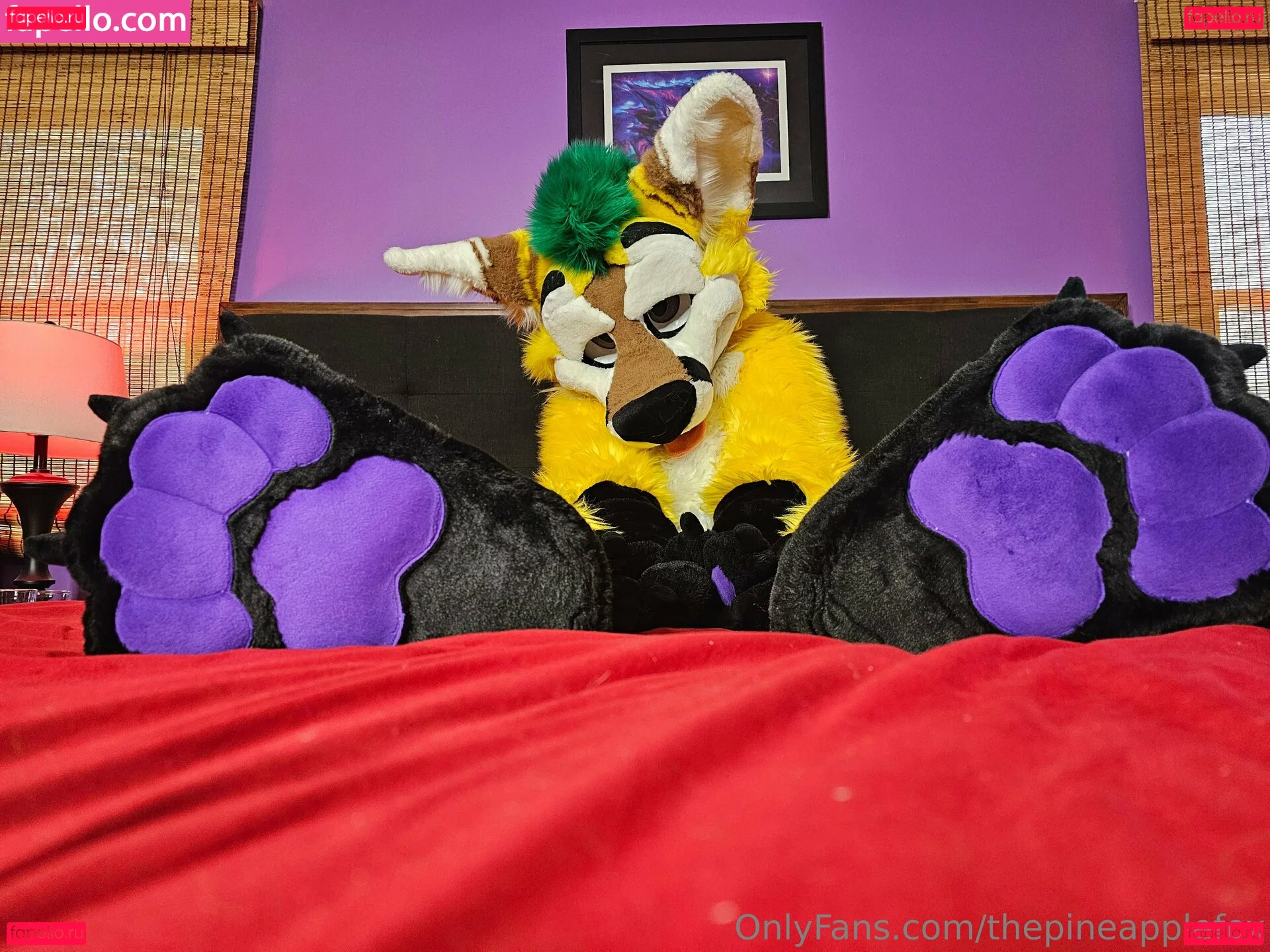 thepineapplefox Onlyfans Photo Gallery 