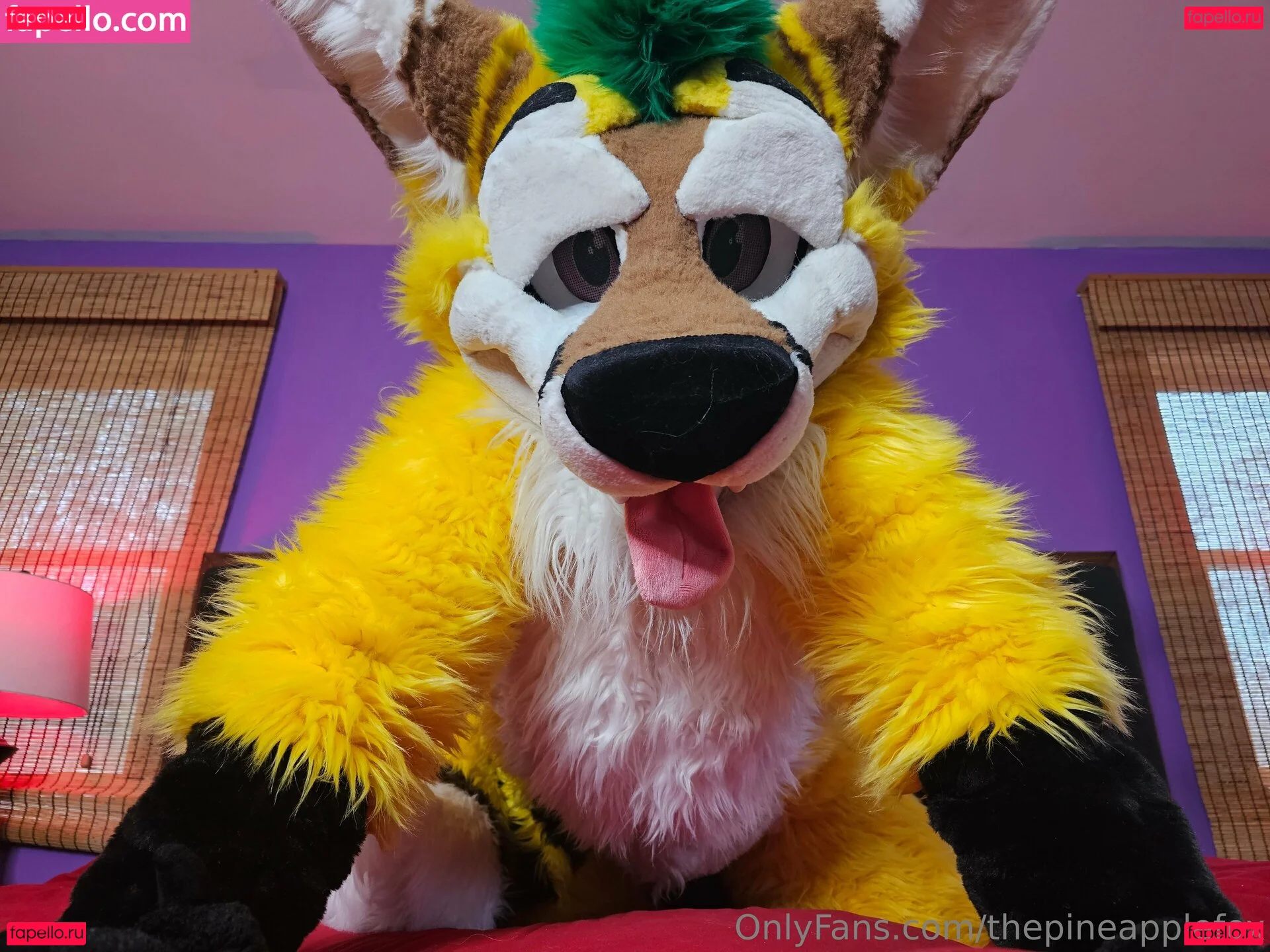 thepineapplefox Onlyfans Photo Gallery 