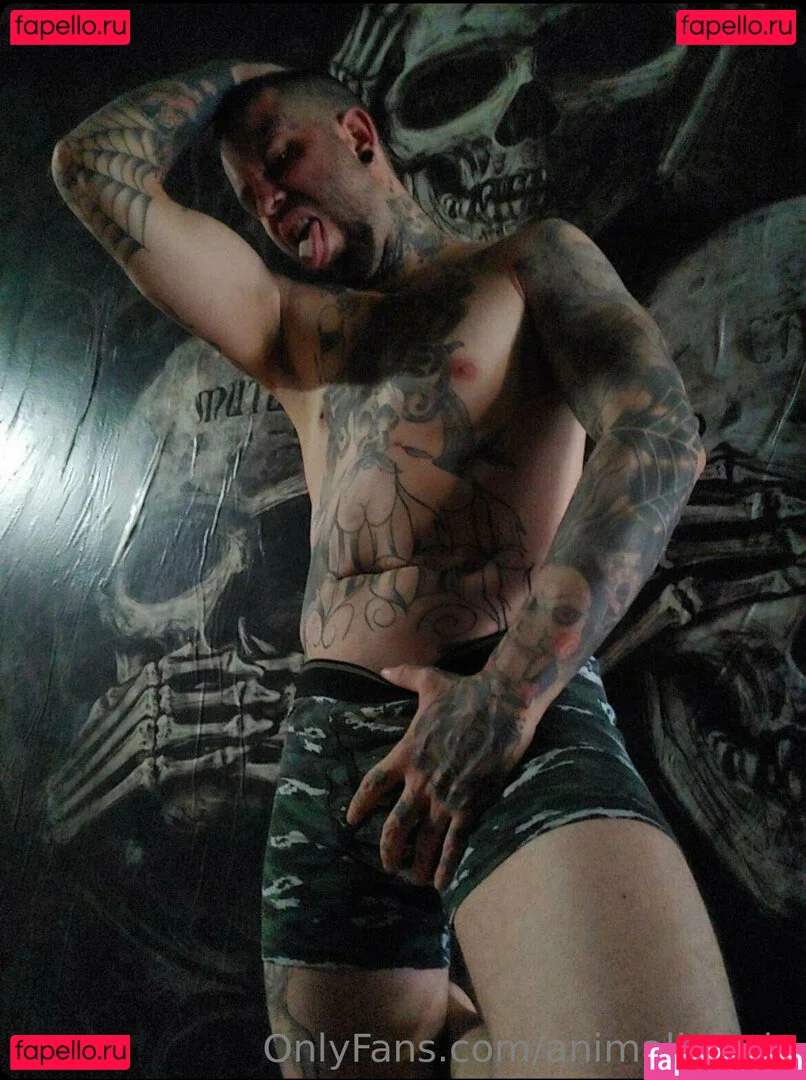 animalbeetle Onlyfans Photo Gallery 