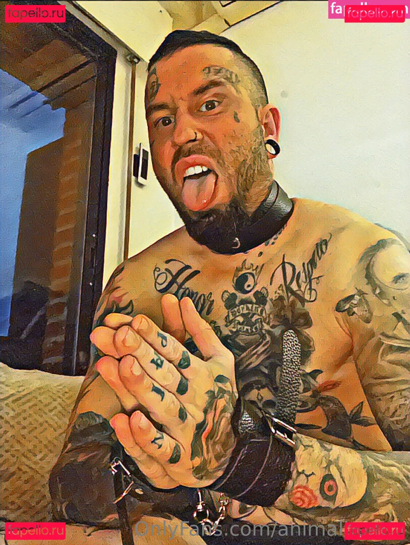 animalbeetle Onlyfans Photo Gallery 