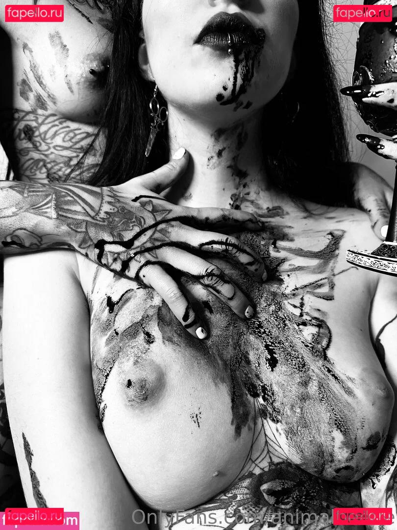 animalbeetle Onlyfans Photo Gallery 