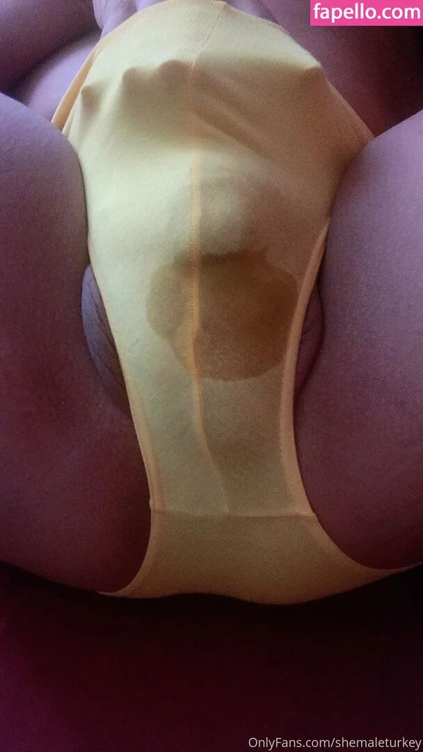 shemaleturkey Onlyfans Photo Gallery 