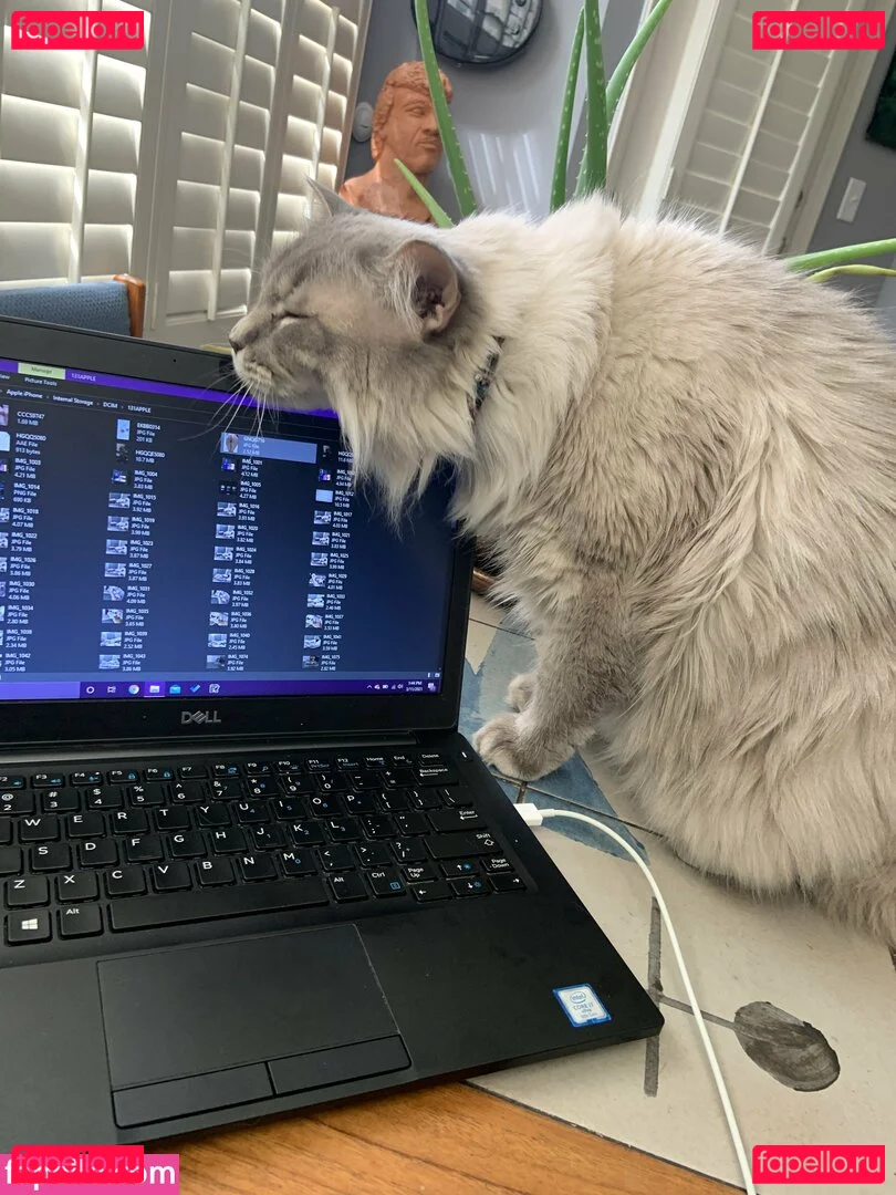 mistygates Onlyfans Photo Gallery 