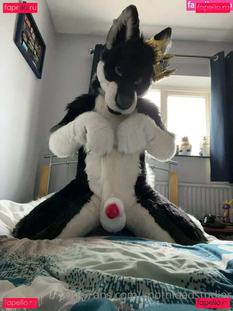 knotnloadstudios Onlyfans Photo Gallery 