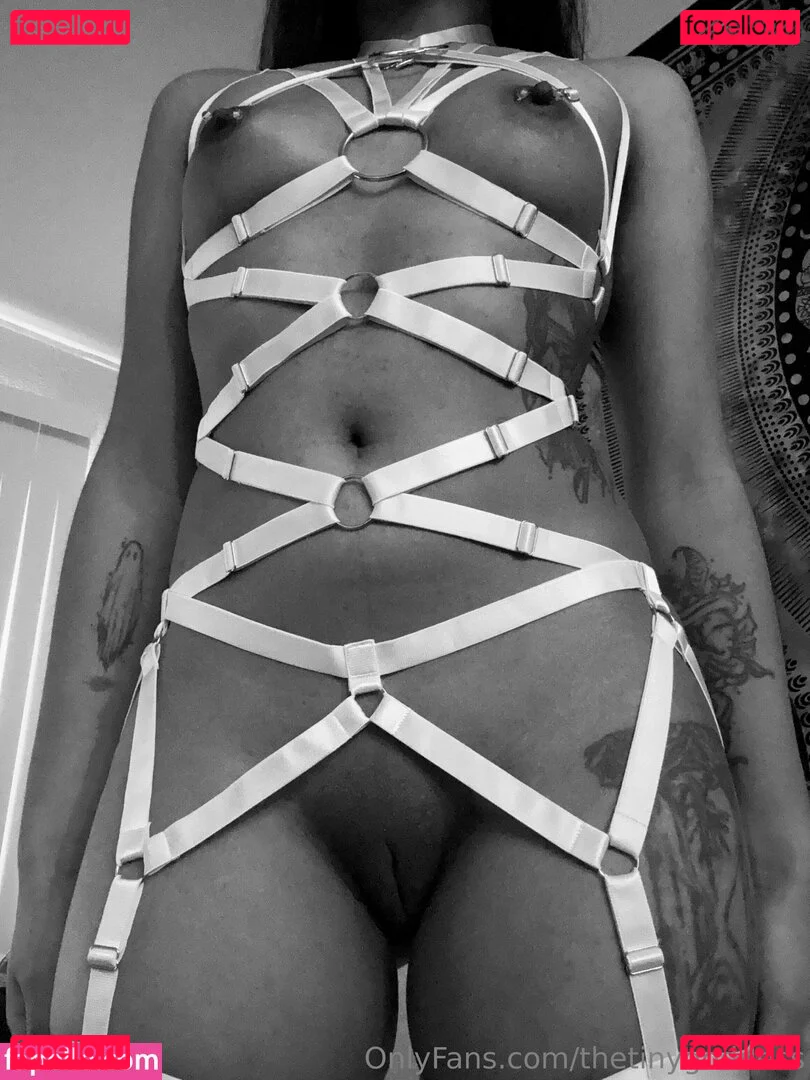 thetinygoddess Onlyfans Photo Gallery 