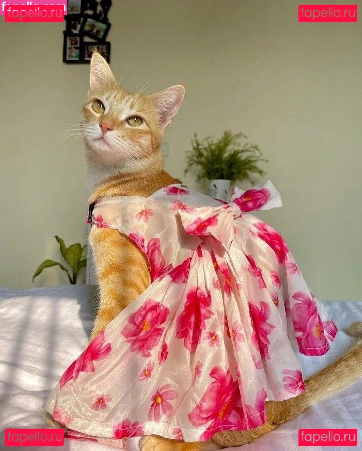 Princess VIP Onlyfans Photo Gallery 