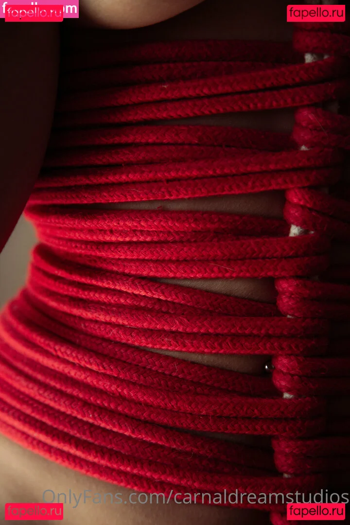 carnaldreamstudios Onlyfans Photo Gallery 