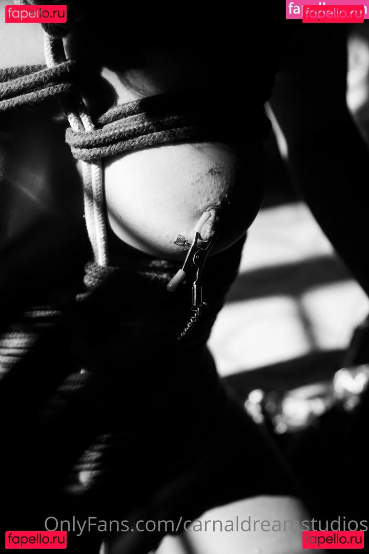 carnaldreamstudios Onlyfans Photo Gallery 