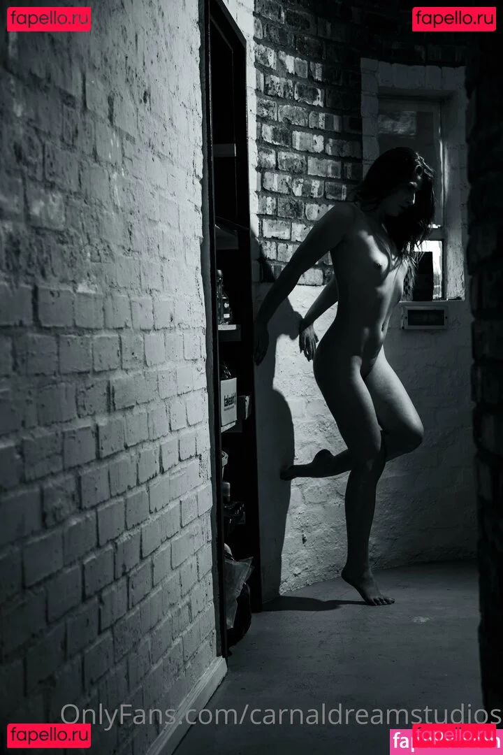 carnaldreamstudios Onlyfans Photo Gallery 