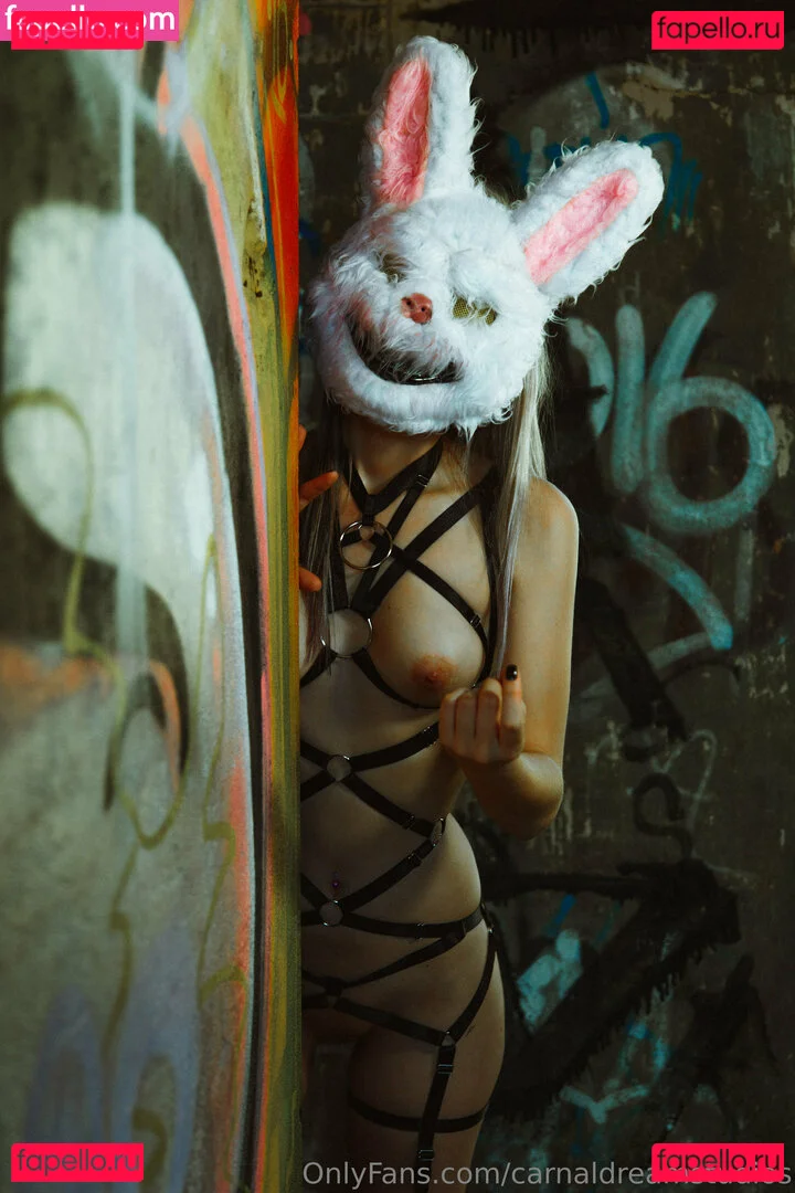 carnaldreamstudios Onlyfans Photo Gallery 