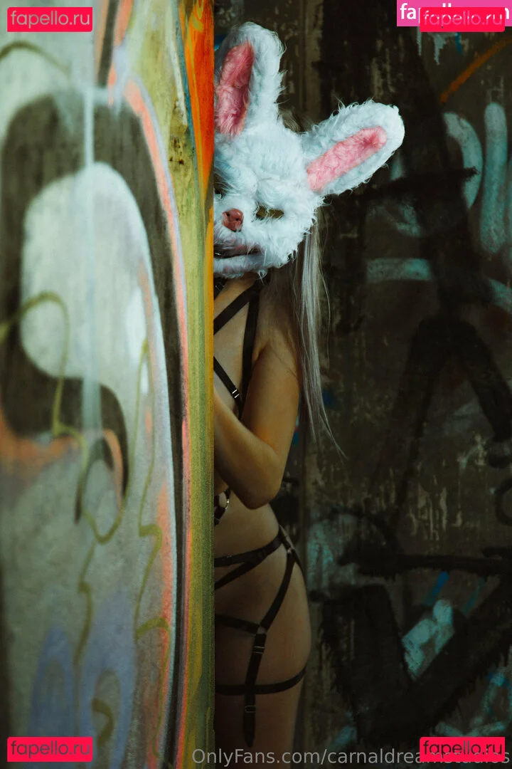 carnaldreamstudios Onlyfans Photo Gallery 