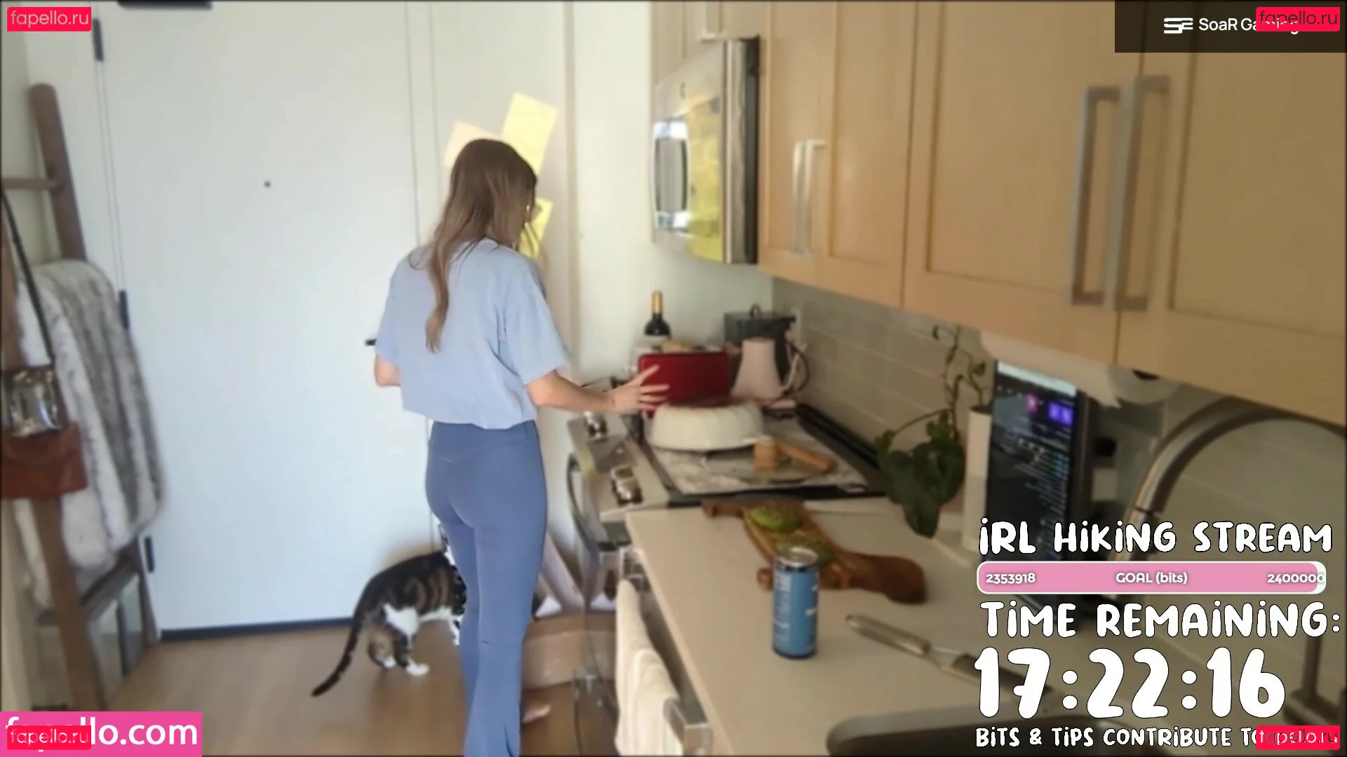 kittspresso Onlyfans Photo Gallery 