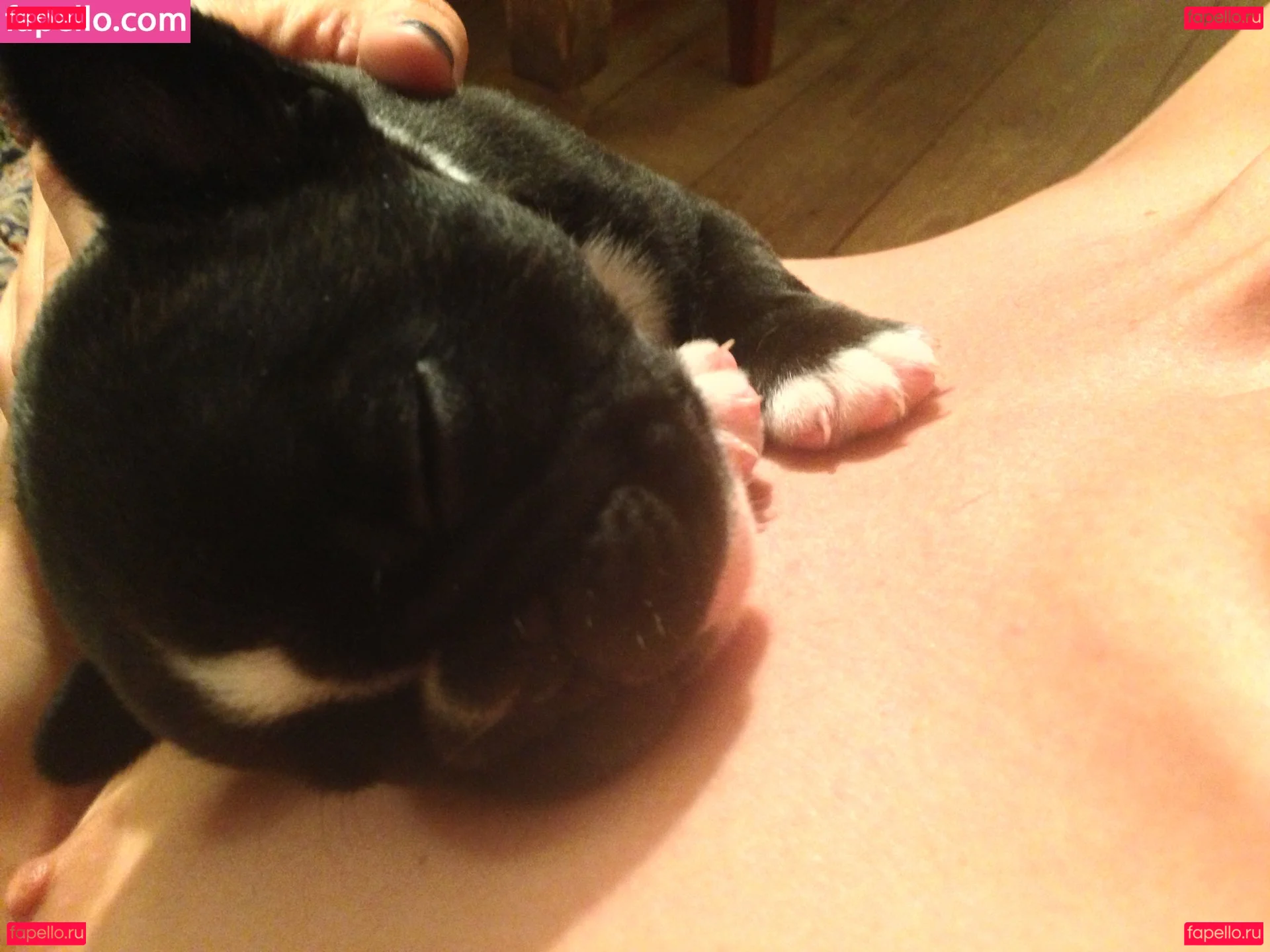 Tamsin Egerton Onlyfans Photo Gallery 