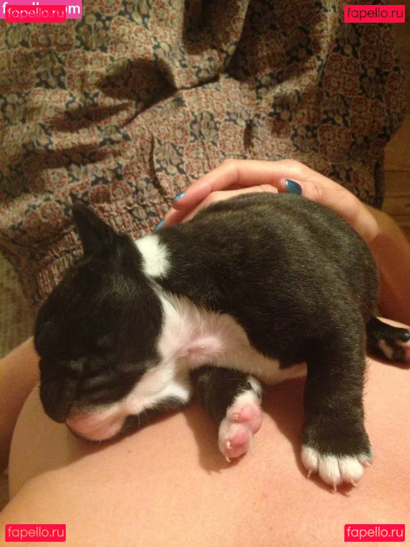 Tamsin Egerton Onlyfans Photo Gallery 