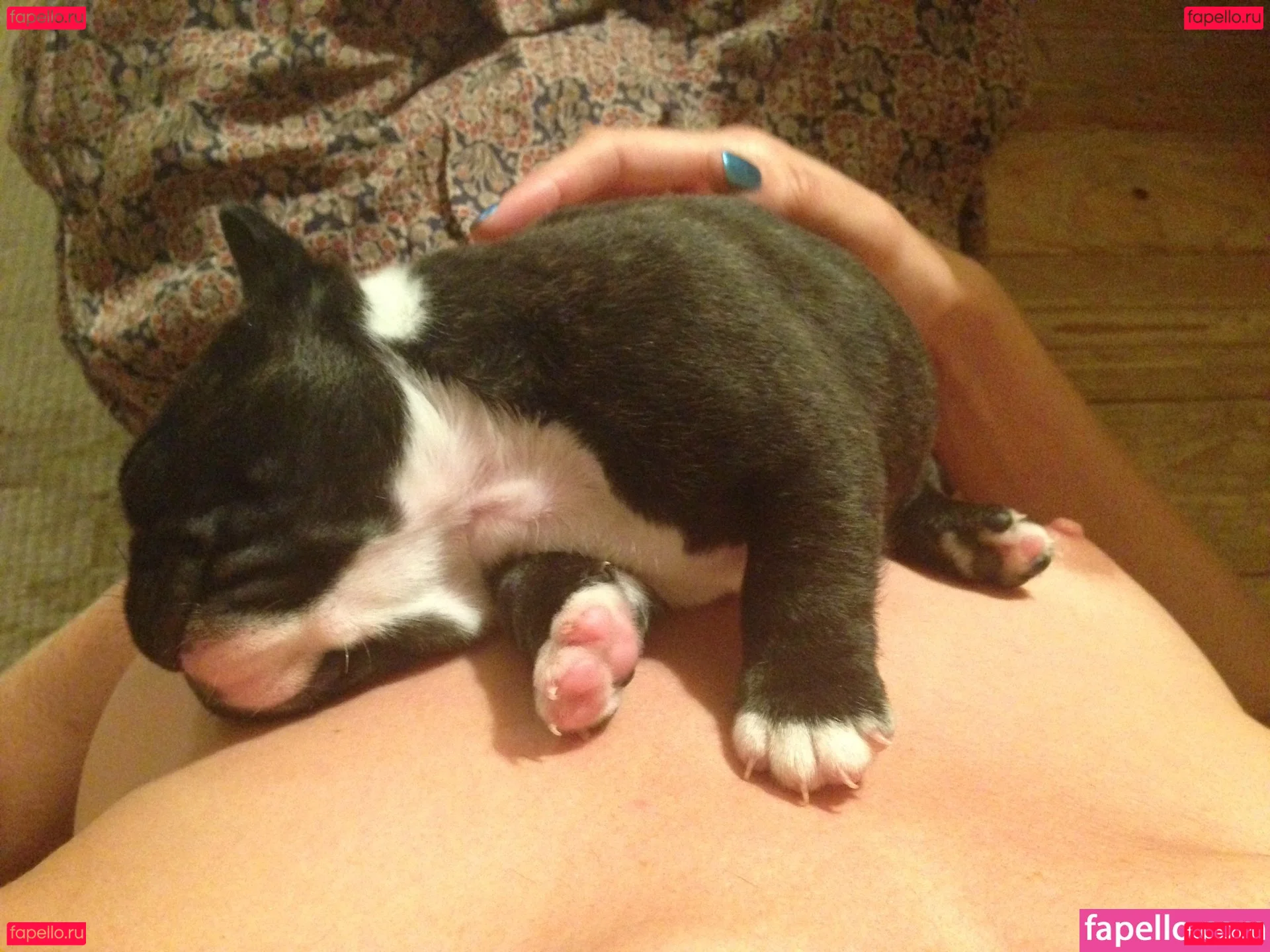 Tamsin Egerton Onlyfans Photo Gallery 