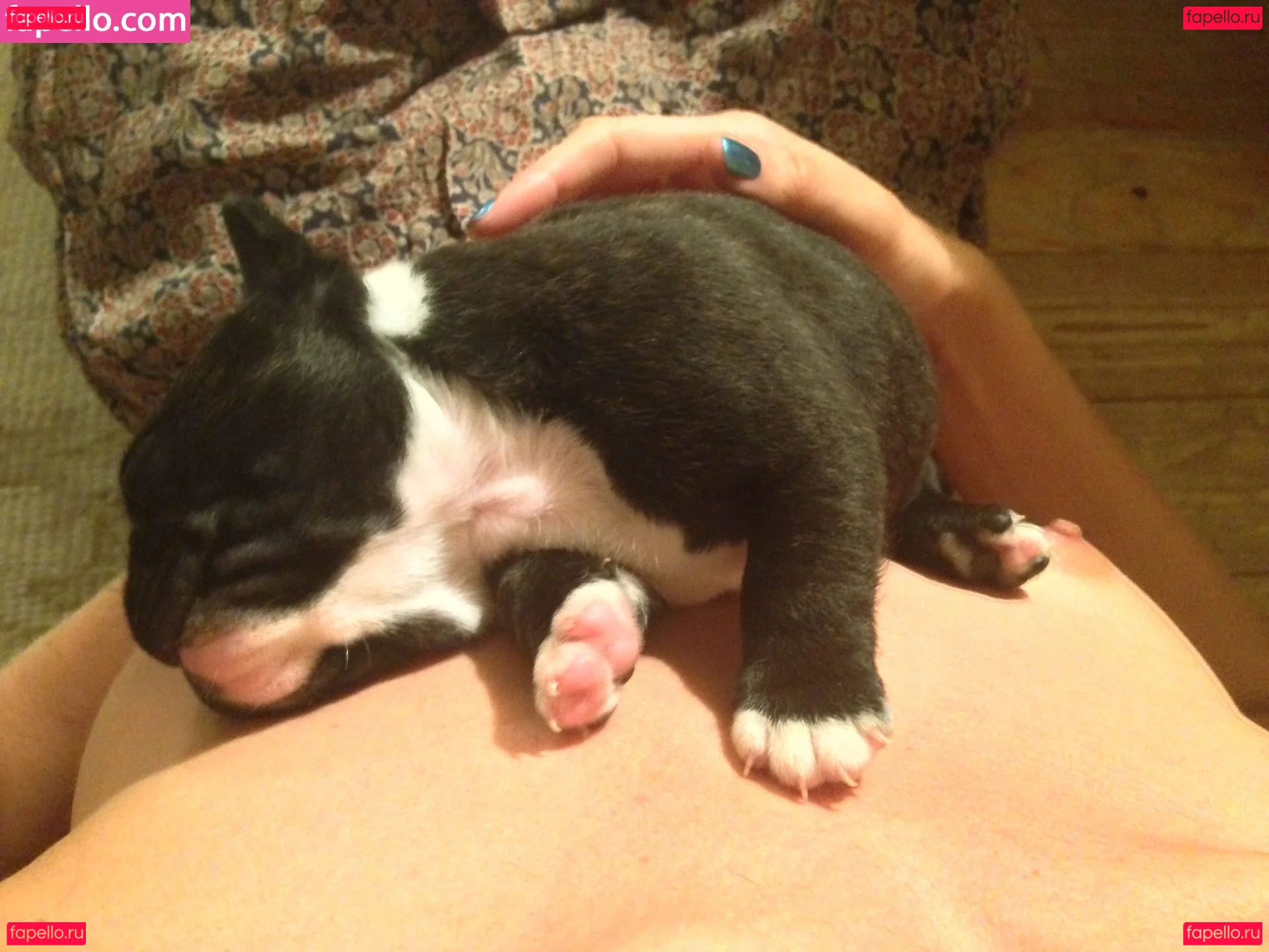 Tamsin Egerton Onlyfans Photo Gallery 