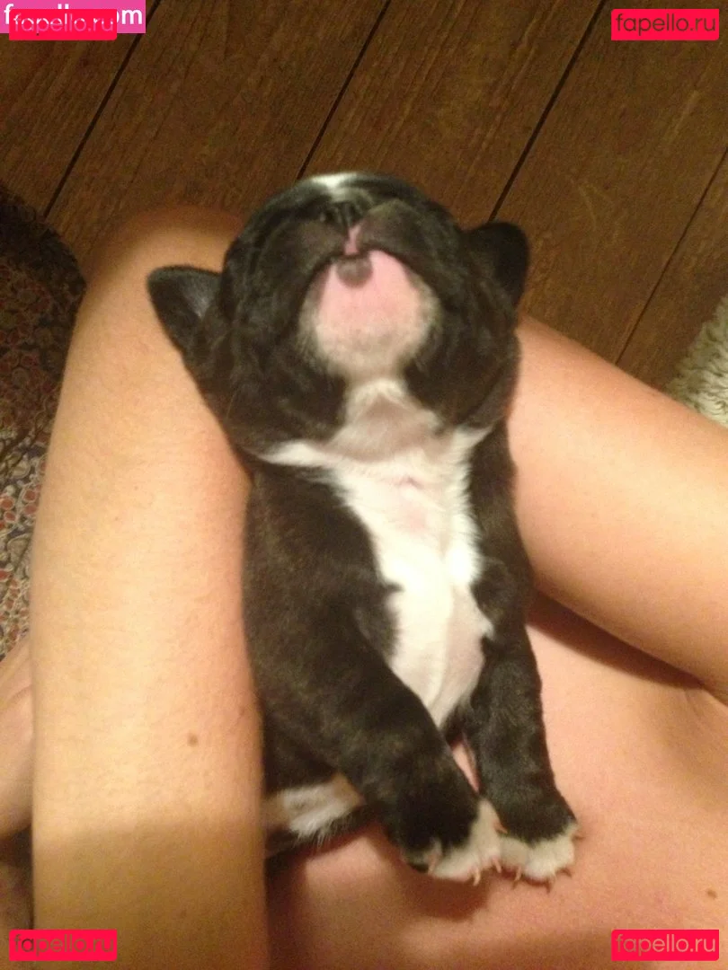 Tamsin Egerton Onlyfans Photo Gallery 