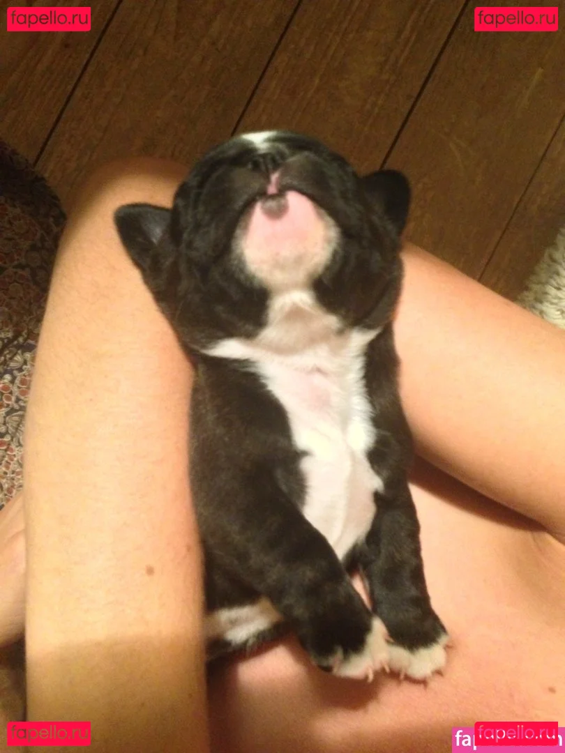 Tamsin Egerton Onlyfans Photo Gallery 