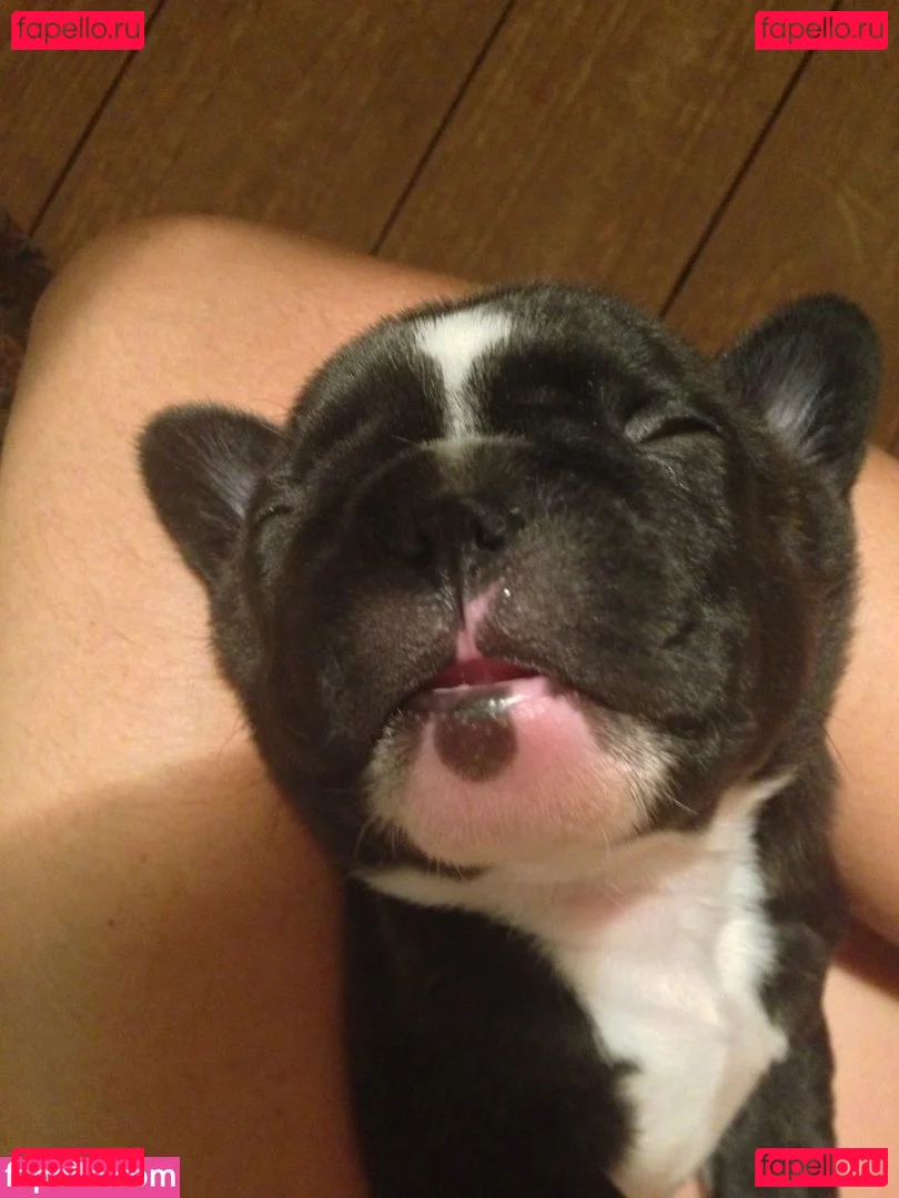 Tamsin Egerton Onlyfans Photo Gallery 