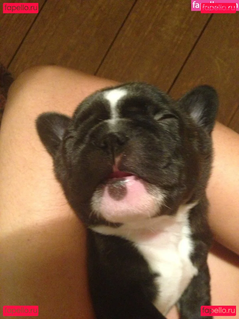 Tamsin Egerton Onlyfans Photo Gallery 