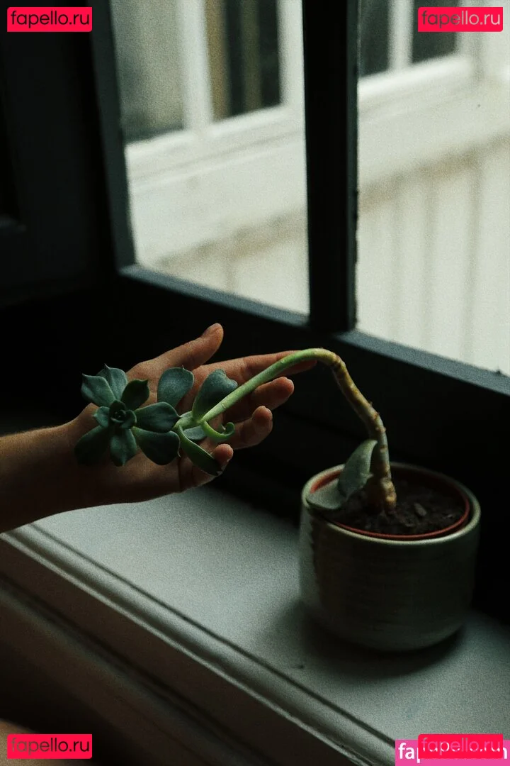 Amedea Onlyfans Photo Gallery 