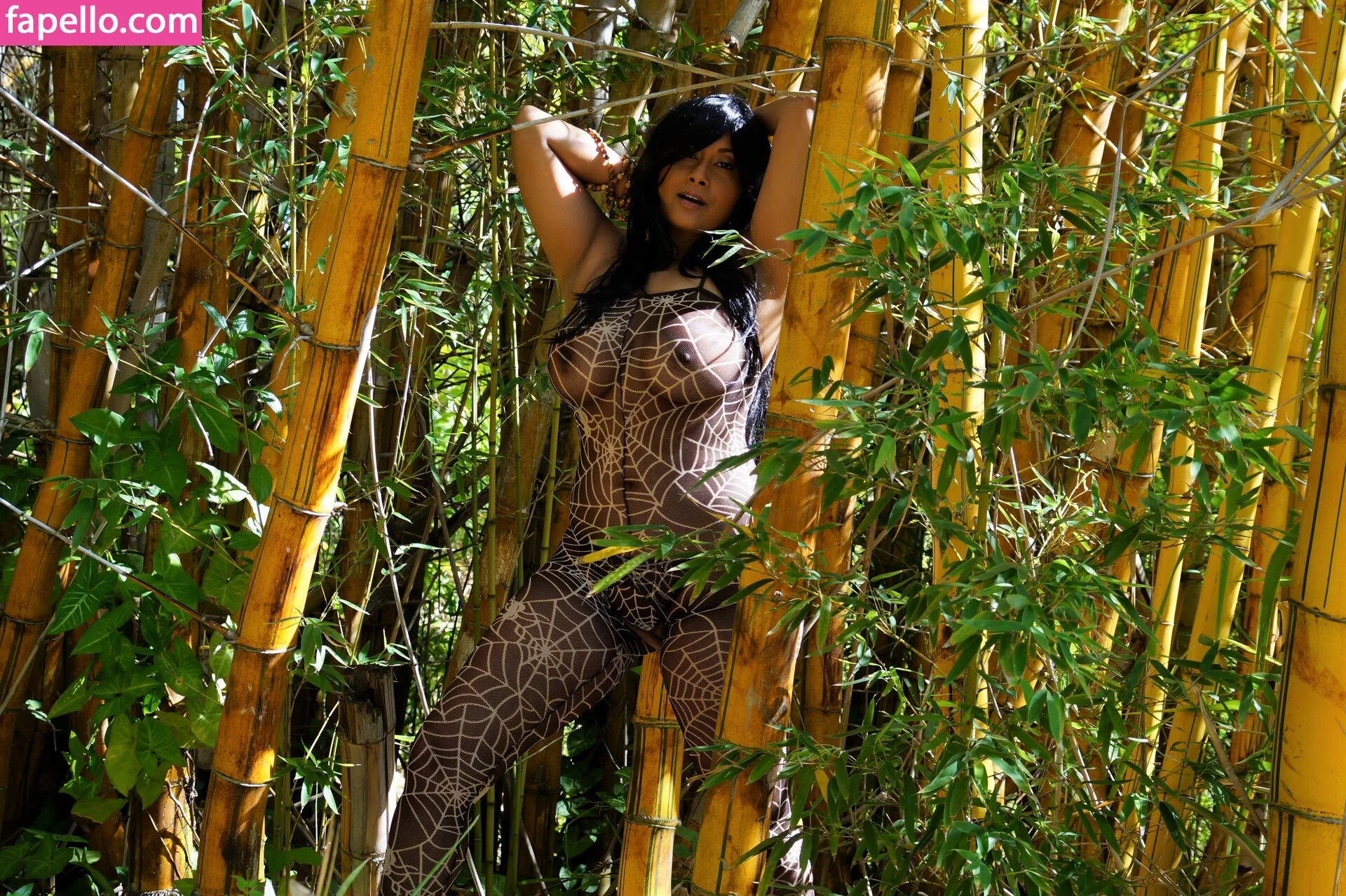 Aiysha Saagar Onlyfans Photo Gallery 