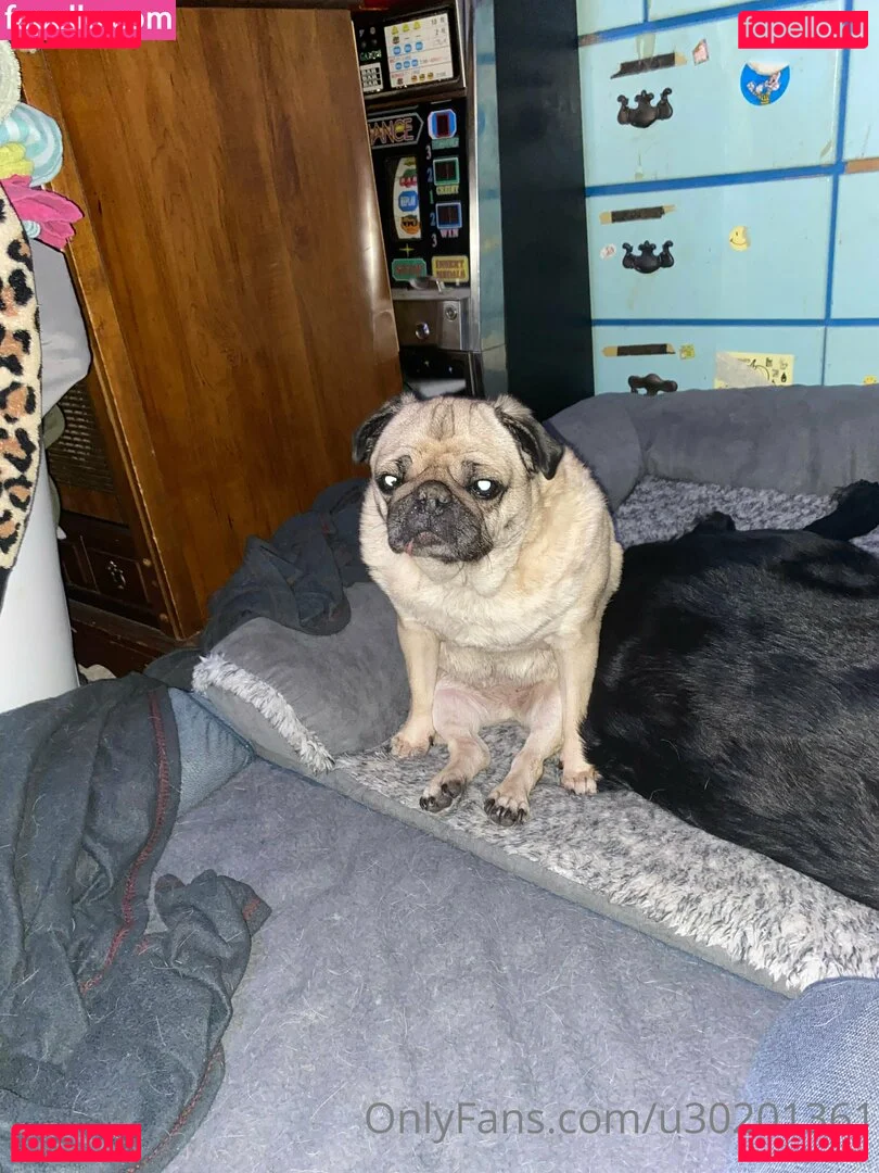 u30201361 Onlyfans Photo Gallery 