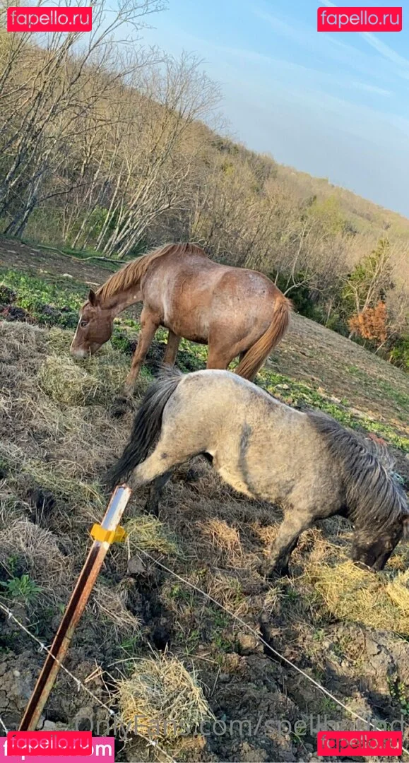 Spellbound Onlyfans Photo Gallery 