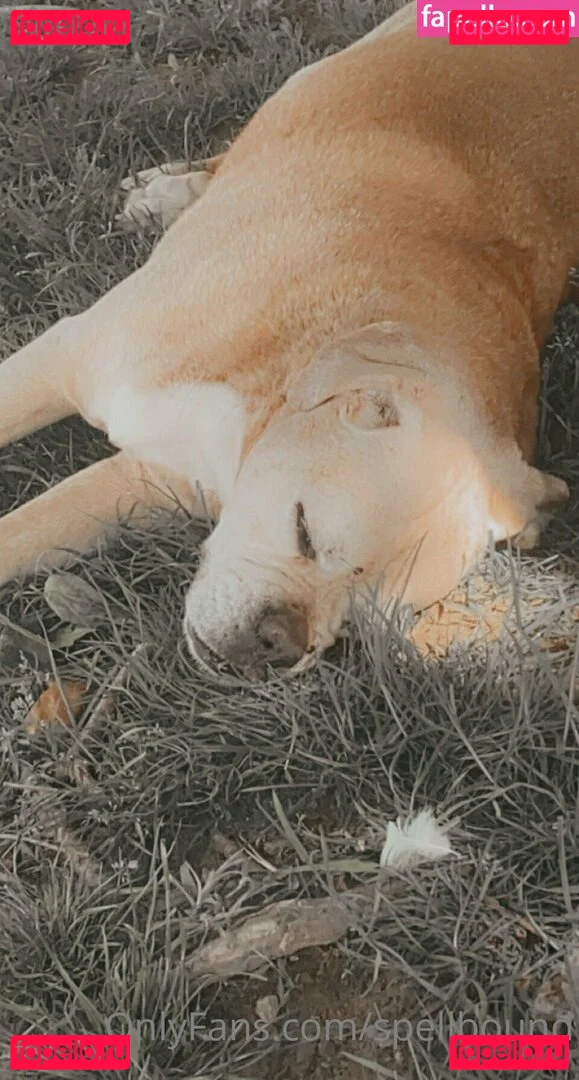 Spellbound Onlyfans Photo Gallery 