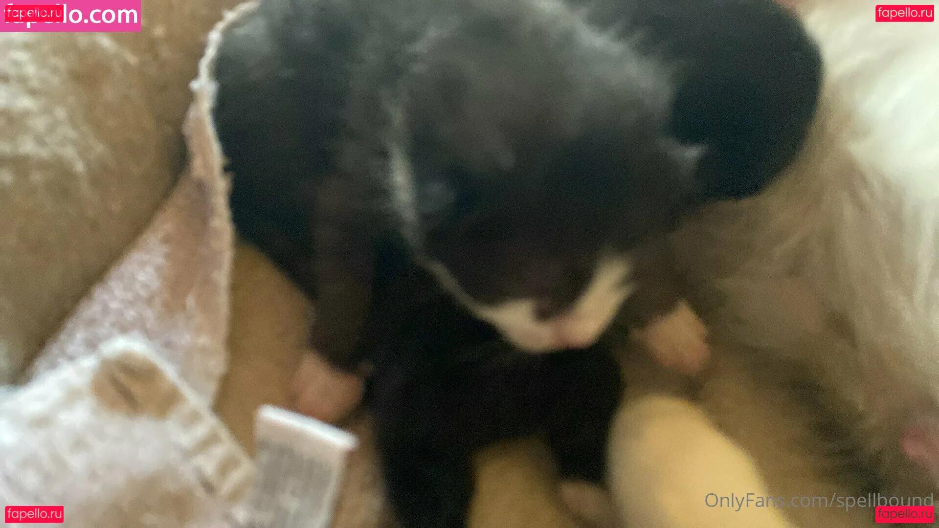 Spellbound Onlyfans Photo Gallery 