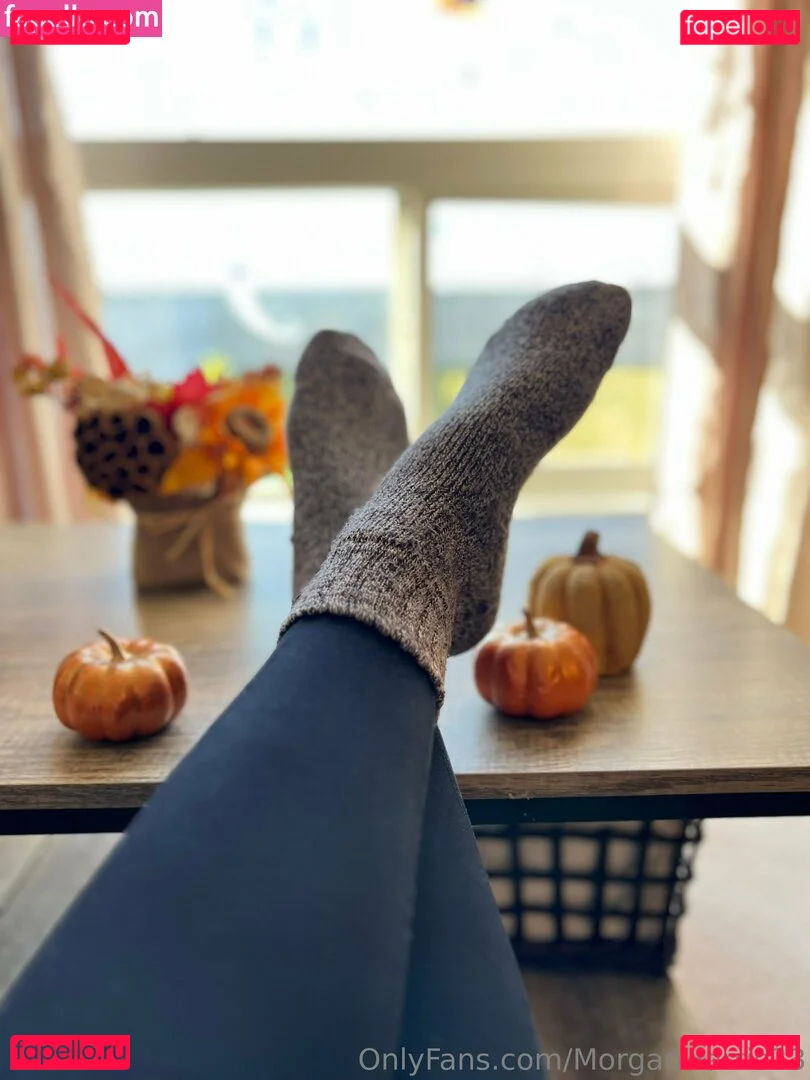 morganharris23 Onlyfans Photo Gallery 