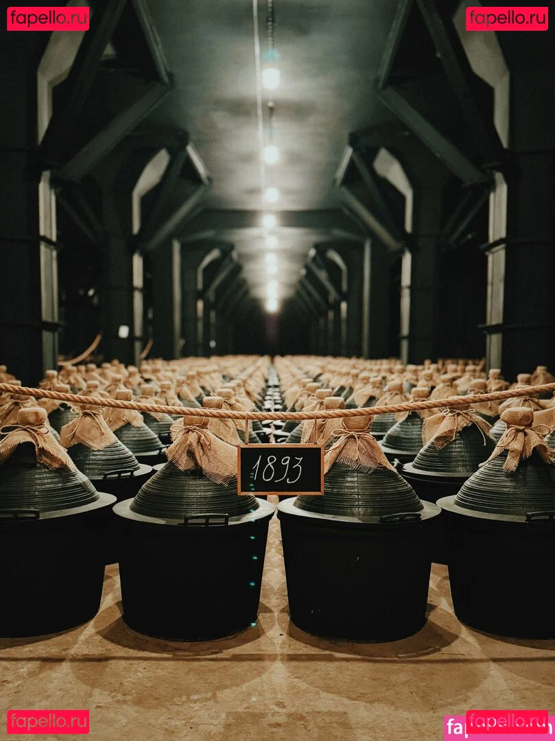 illinifellow Onlyfans Photo Gallery 