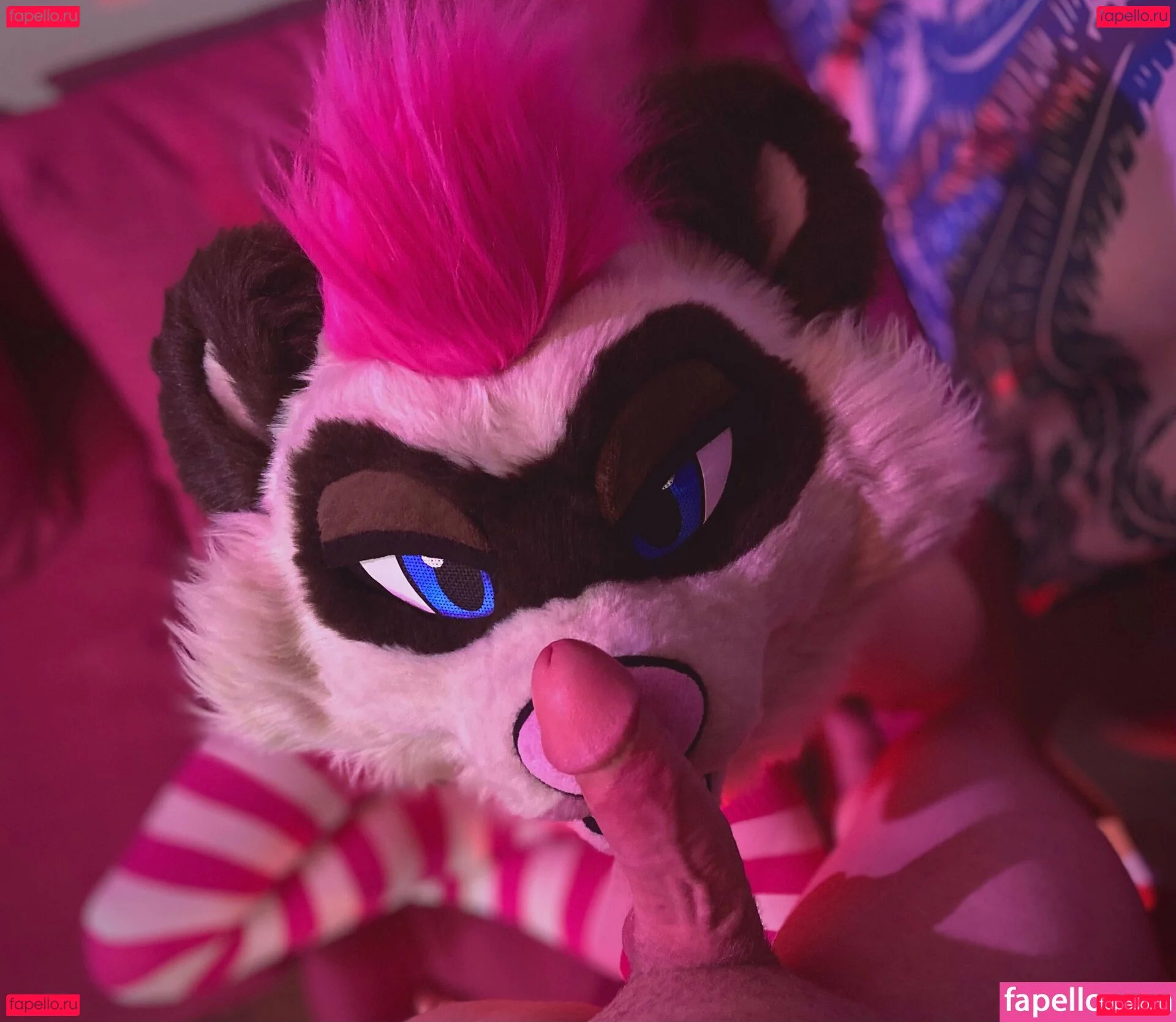 moremaitai Onlyfans Photo Gallery 