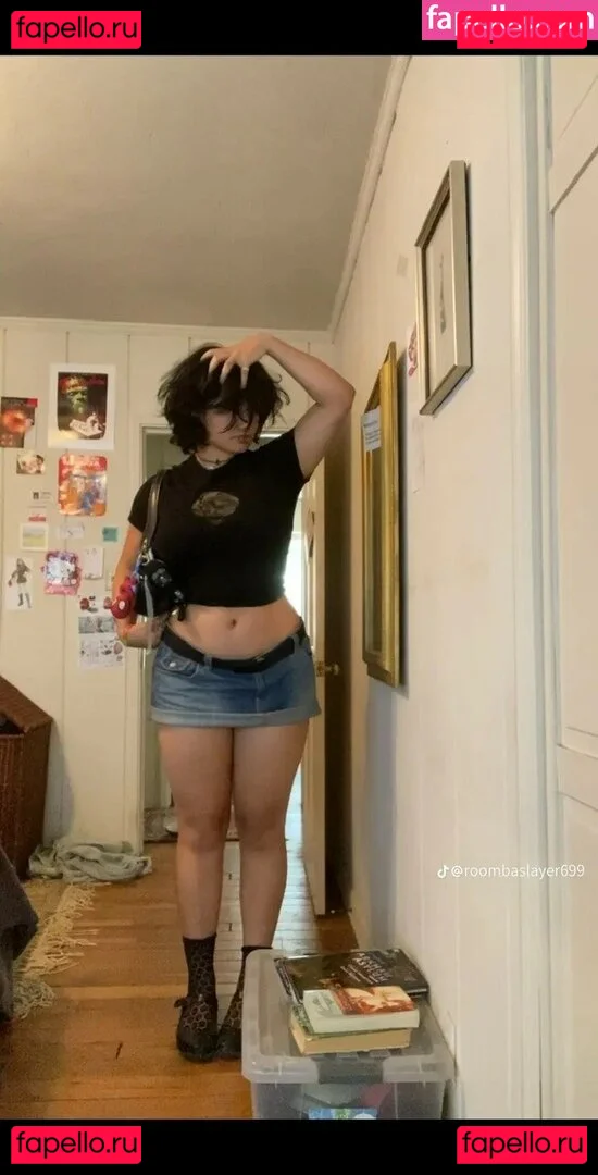 Roombaslayer69 Onlyfans Photo Gallery 