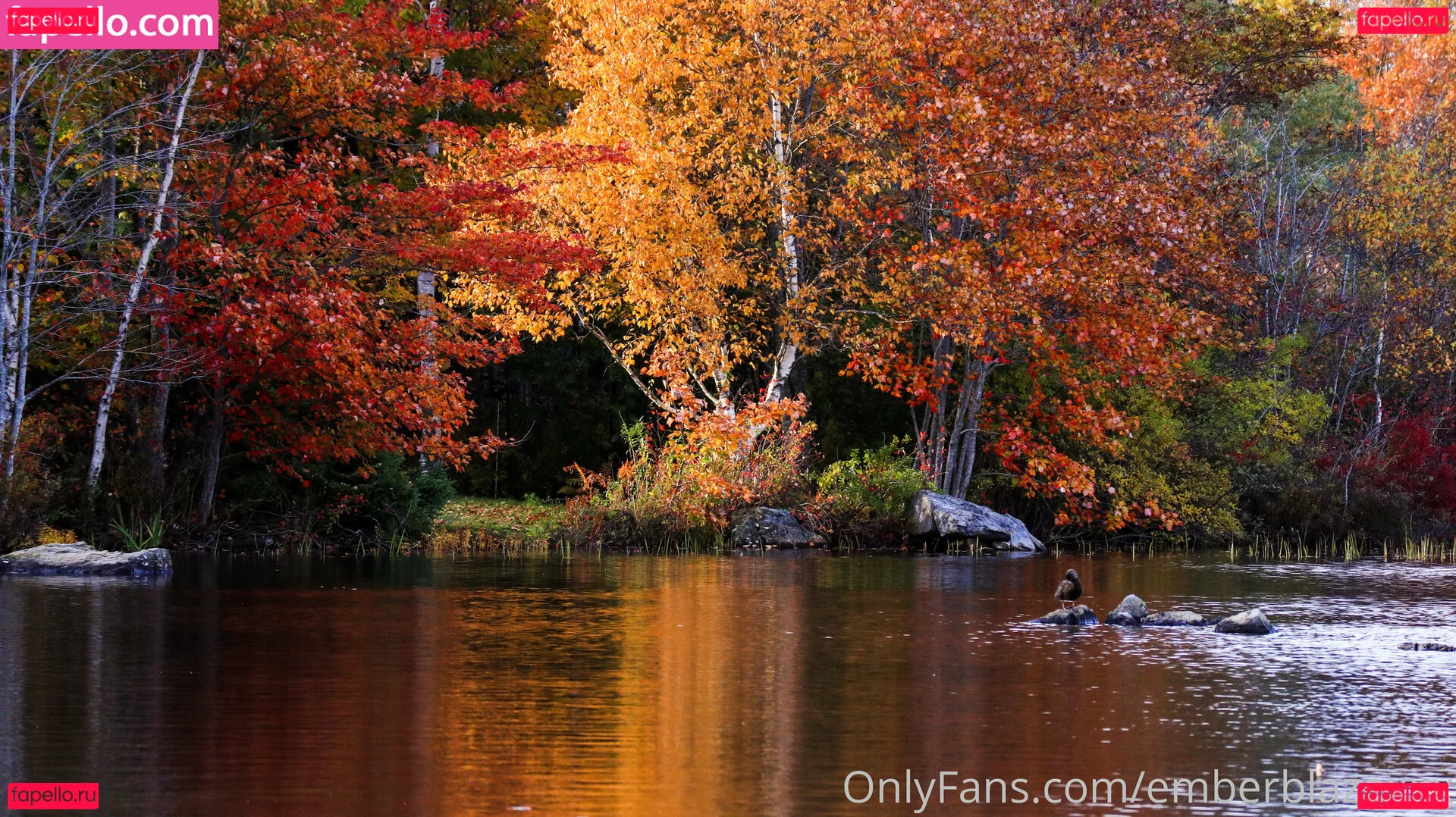 emberblazexxx Onlyfans Photo Gallery 