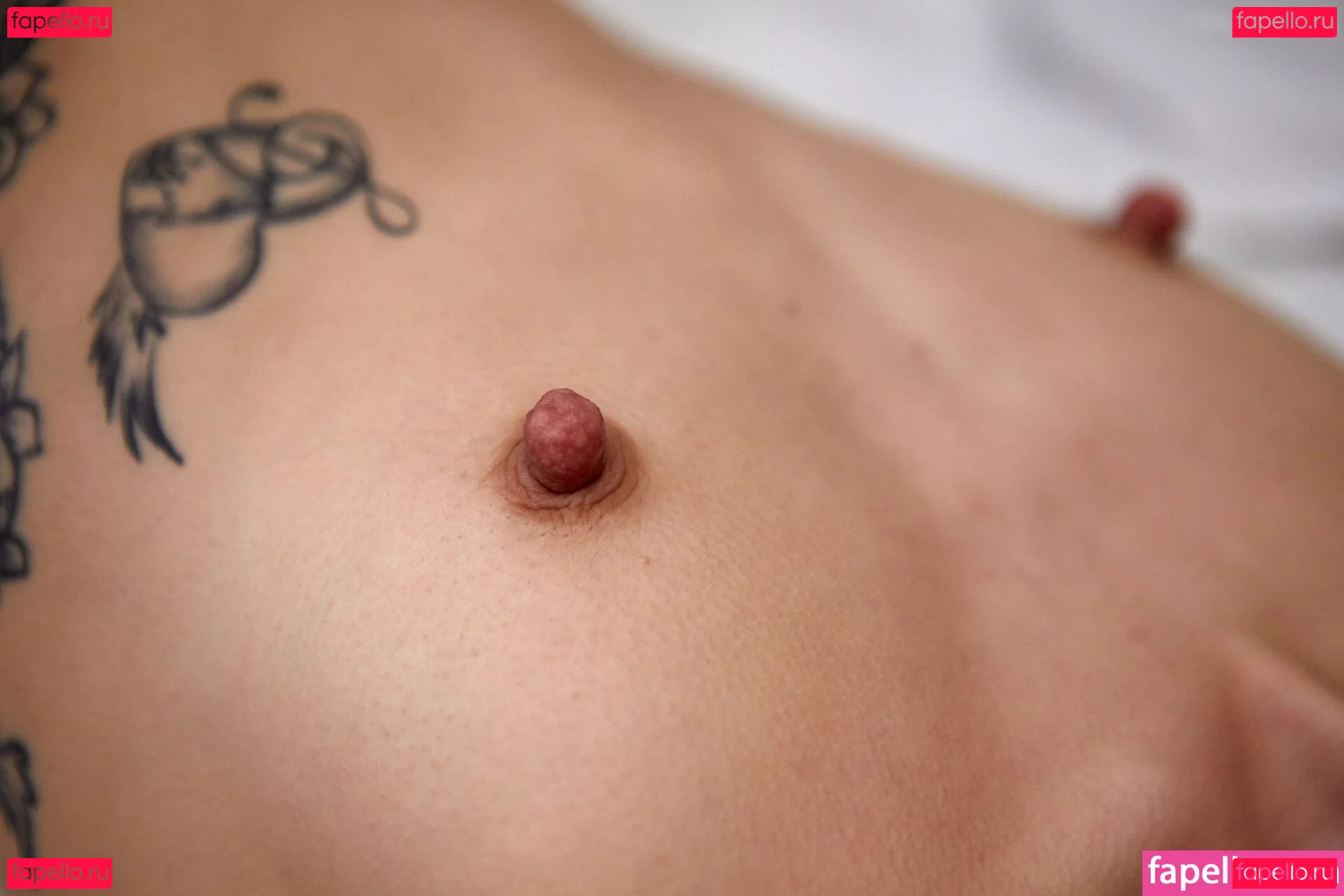 DinaCat Onlyfans Photo Gallery 