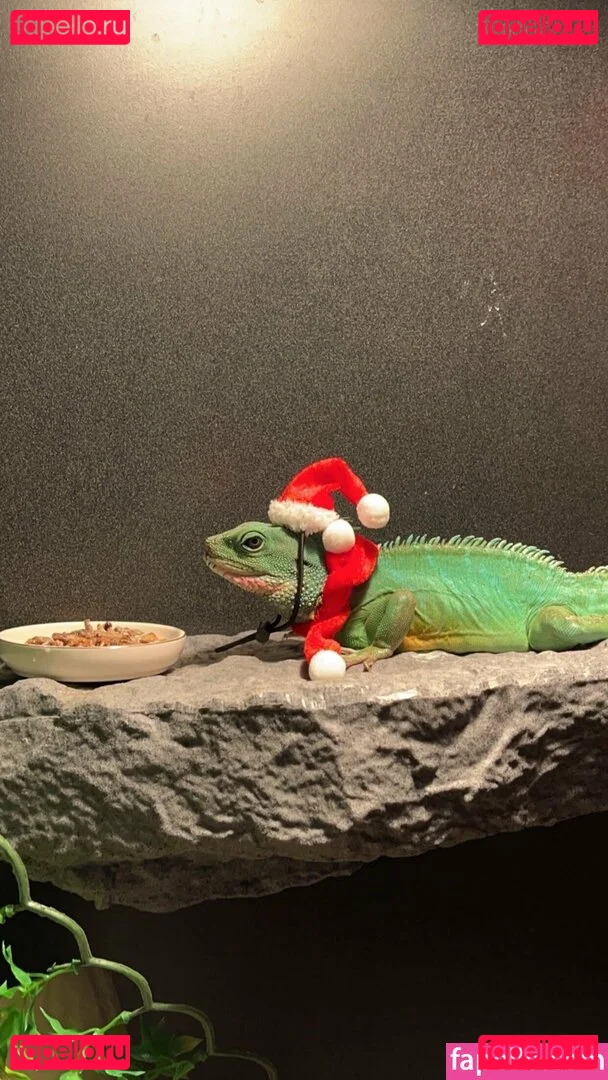 ExplicitKait Onlyfans Photo Gallery 