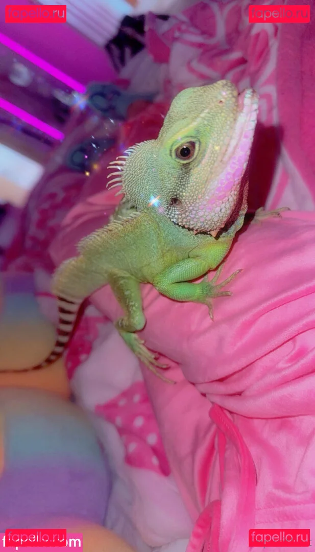 ExplicitKait Onlyfans Photo Gallery 