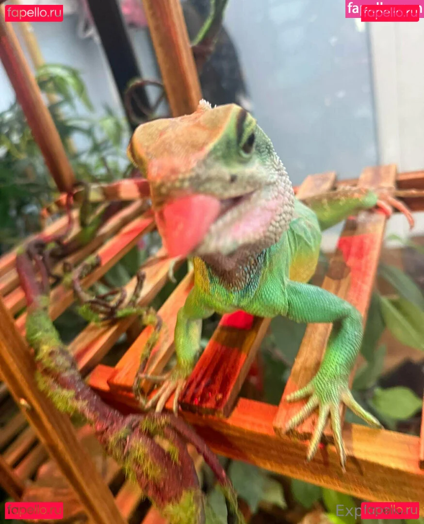 ExplicitKait Onlyfans Photo Gallery 