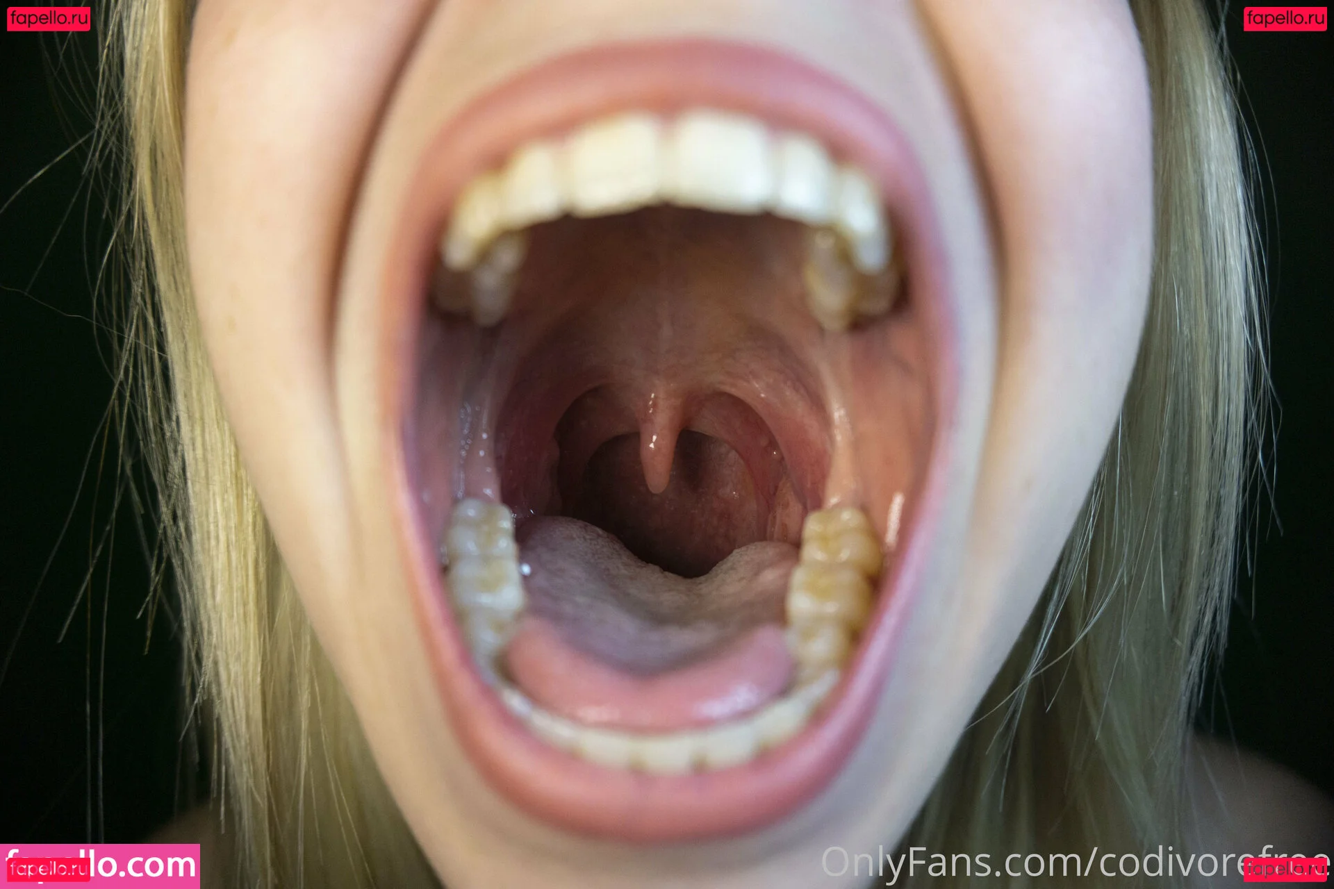 codivorefree Onlyfans Photo Gallery 