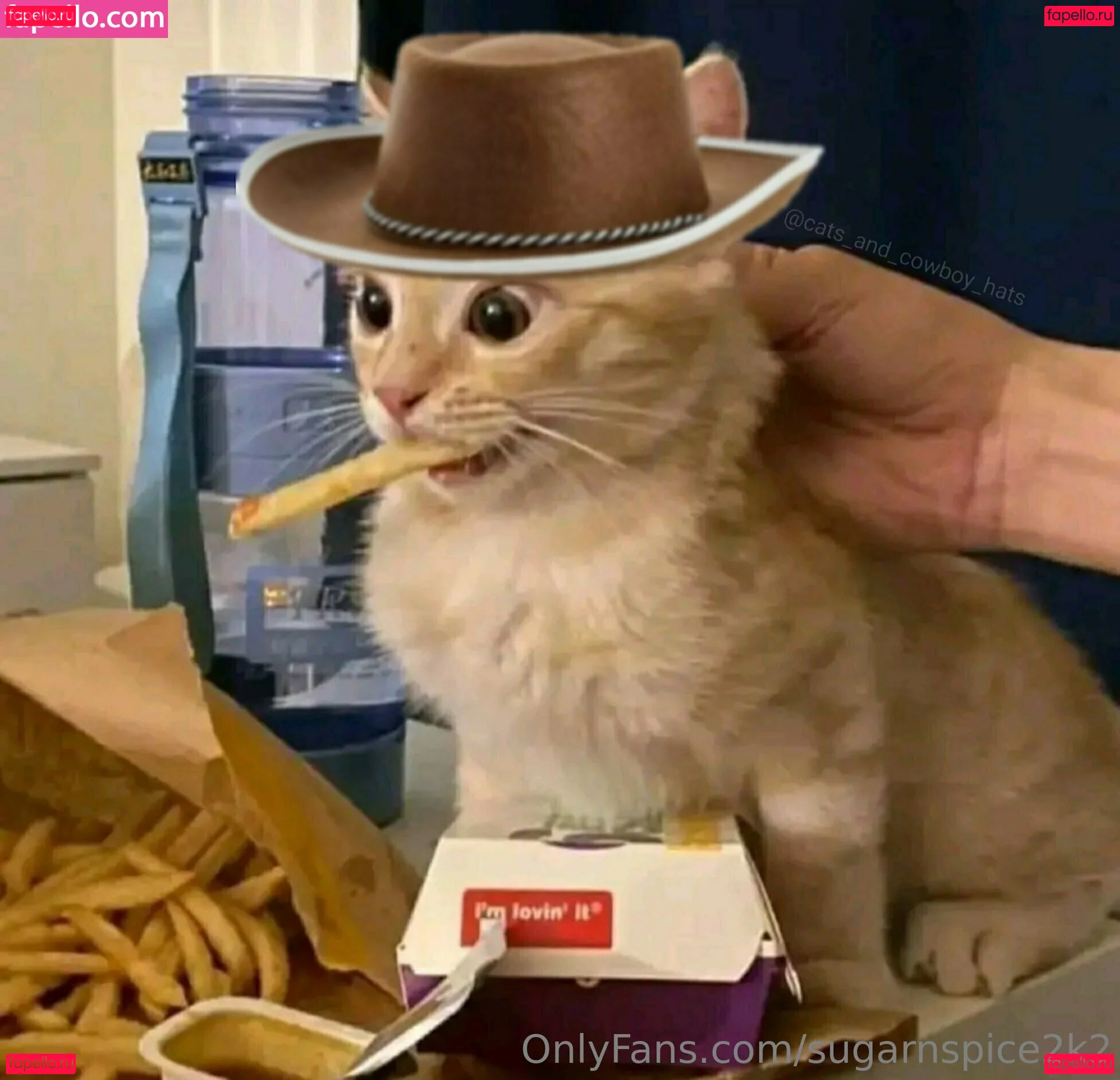 smoll_n_sweet_2k2 Onlyfans Photo Gallery 