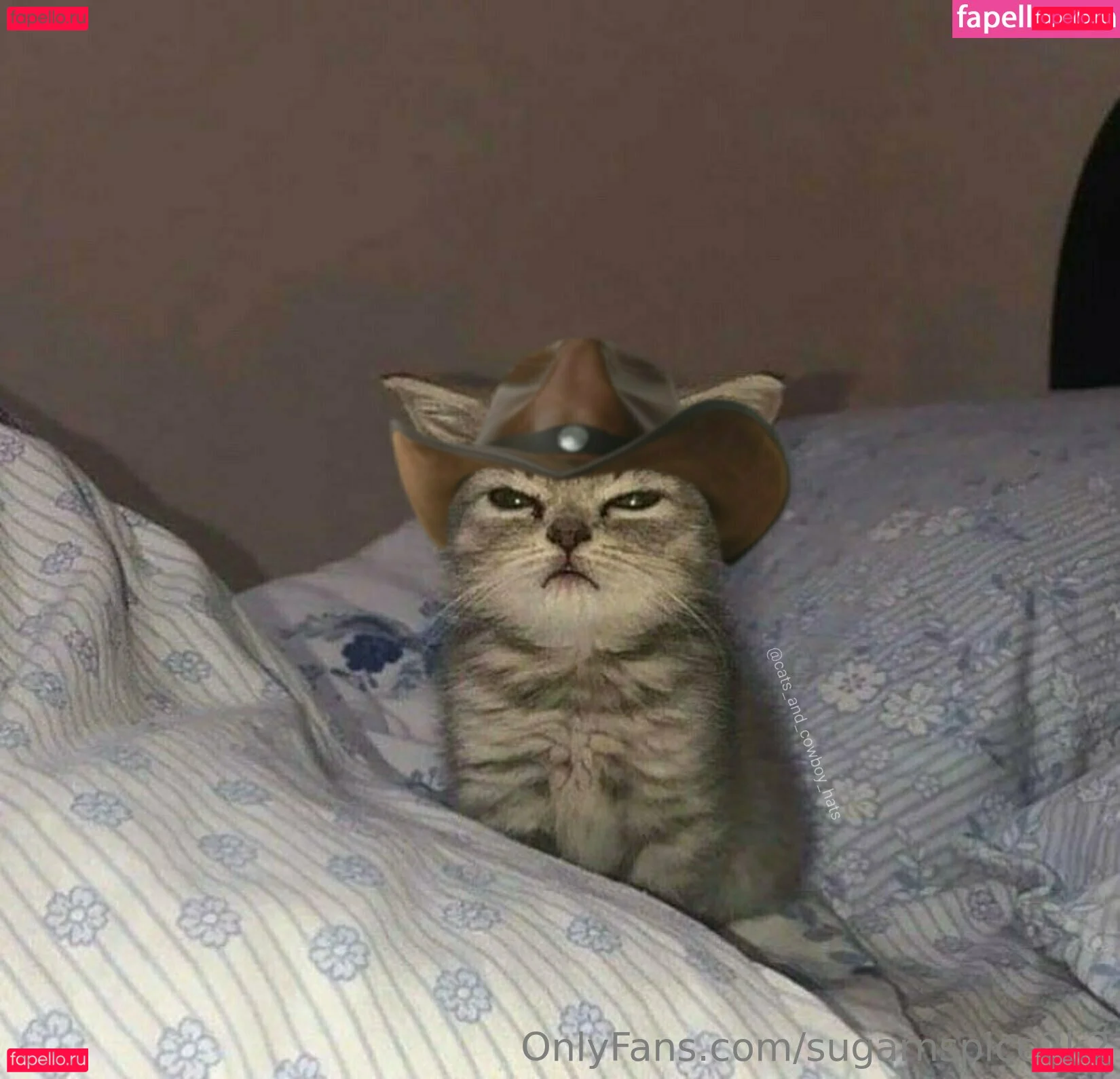 smoll_n_sweet_2k2 Onlyfans Photo Gallery 